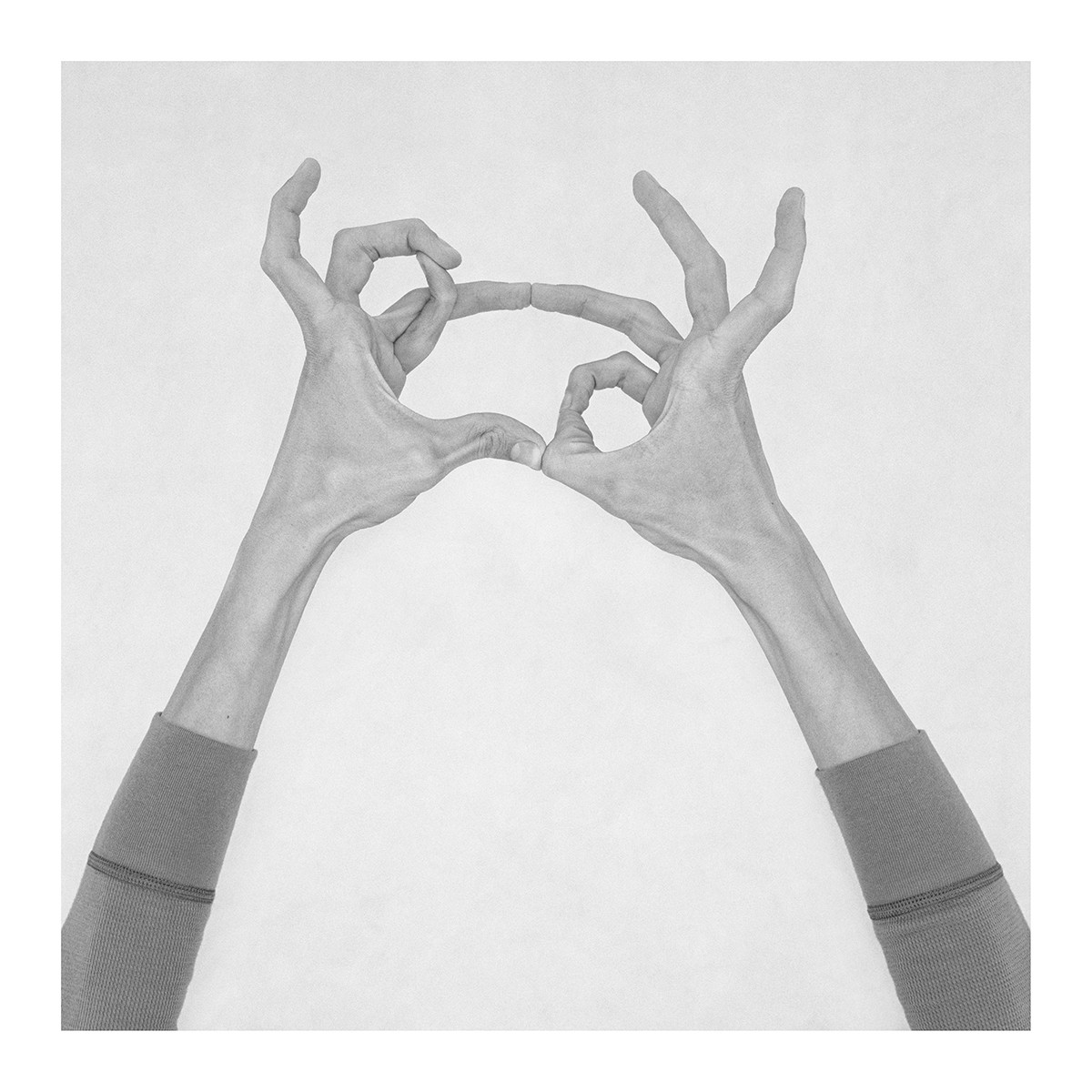 Nico Baixas / Gos-com-fuig, Untitled IV. From the Series Chiromorphose Nico Baixas / Gos-com-fuig, Untitled IV. From the Series Chiromorphose