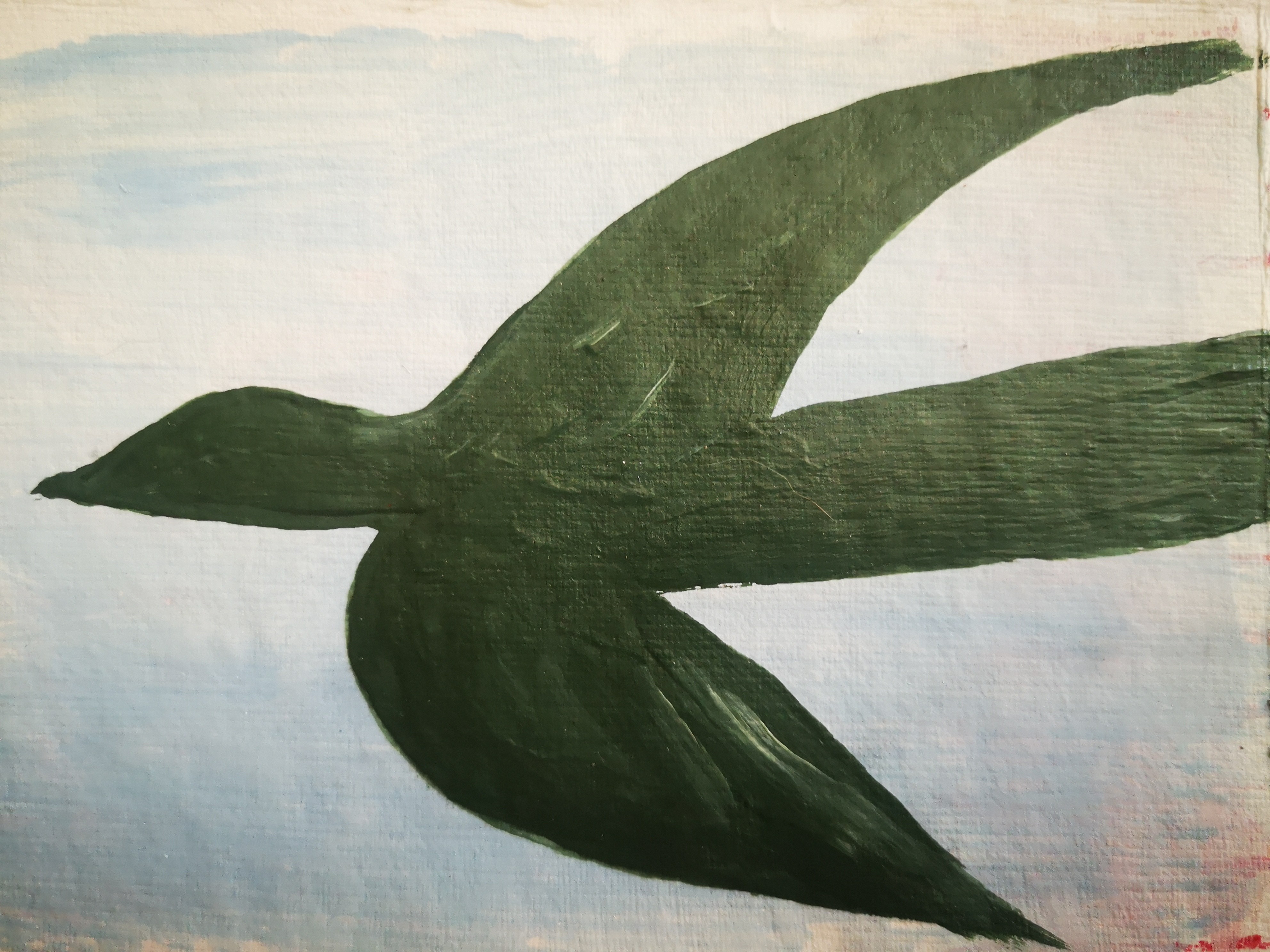 Alice Maier, Oiseau Alice Maier, Oiseau