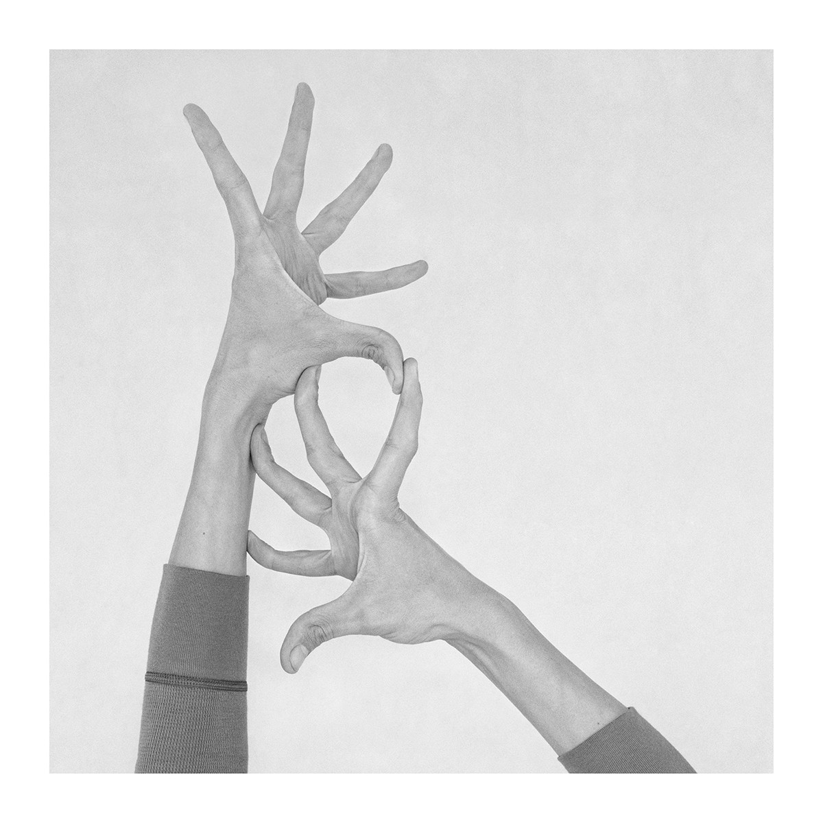 Nico Baixas / Gos-com-fuig, Untitled VI. From the Series Chiromorphose Nico Baixas / Gos-com-fuig, Untitled VI. From the Series Chiromorphose