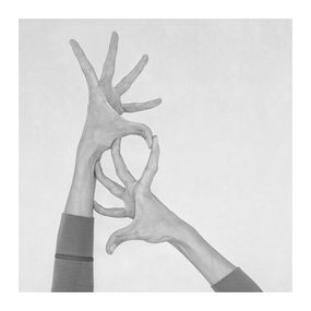 Untitled VI. From the Series Chiromorphose, Nico Baixas