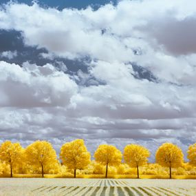Fotografien, #IR_3705, Paolo Salmaso