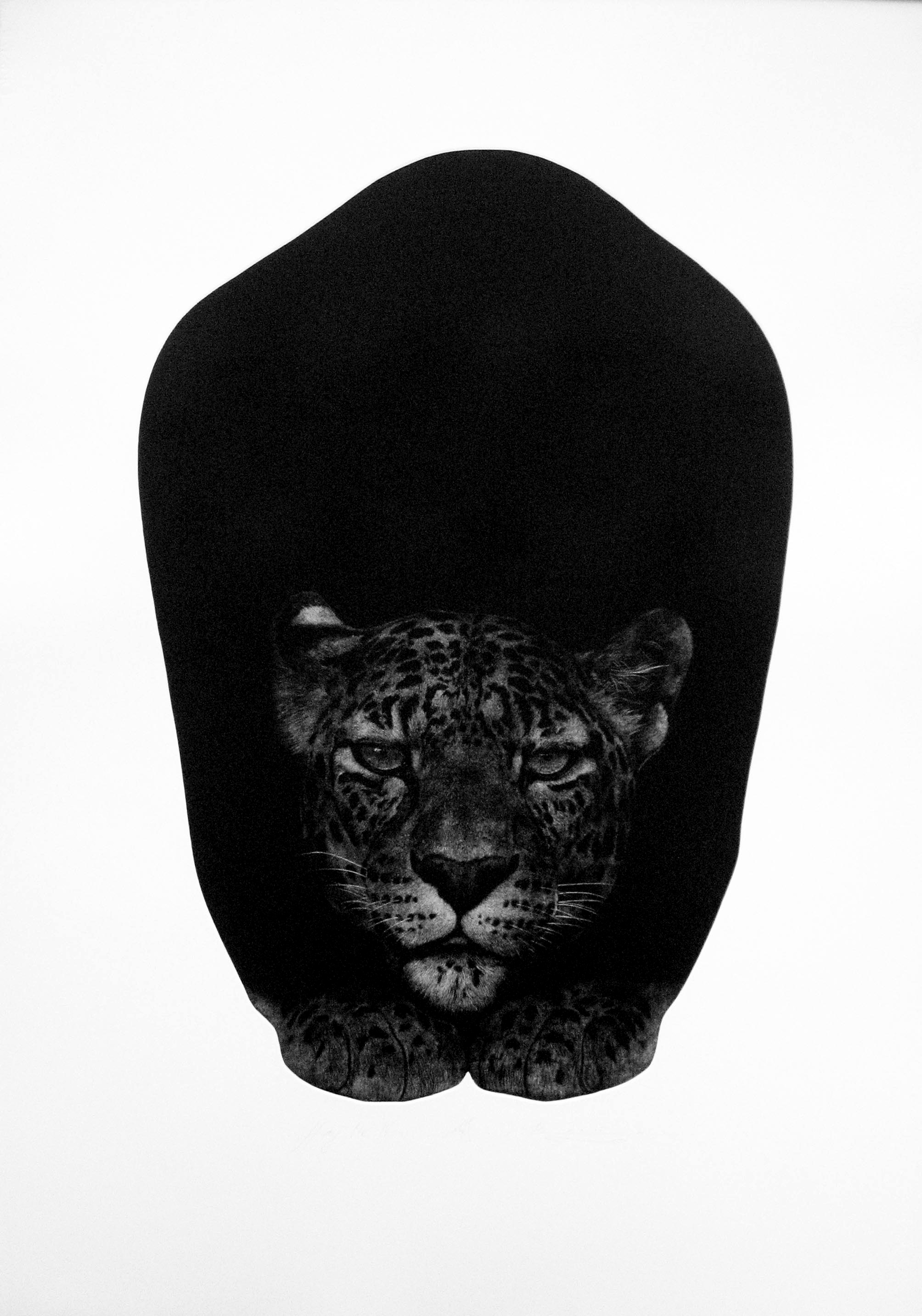 Vasil Angelov, Hug Me 4 Vasil Angelov, Hug Me 4