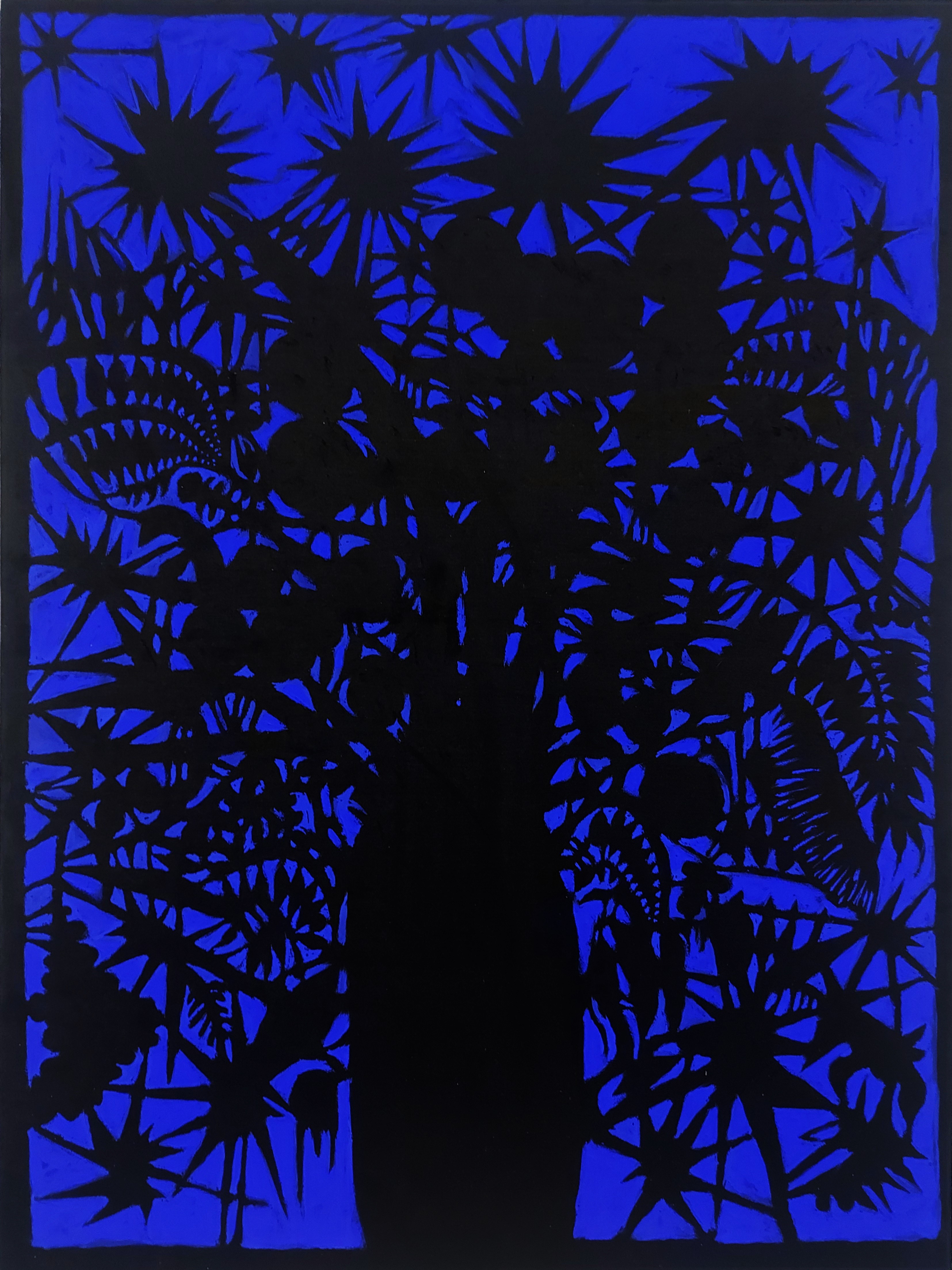 Baptiste Laurent, Starry Bouquet in a night light Baptiste Laurent, Starry Bouquet in a night light