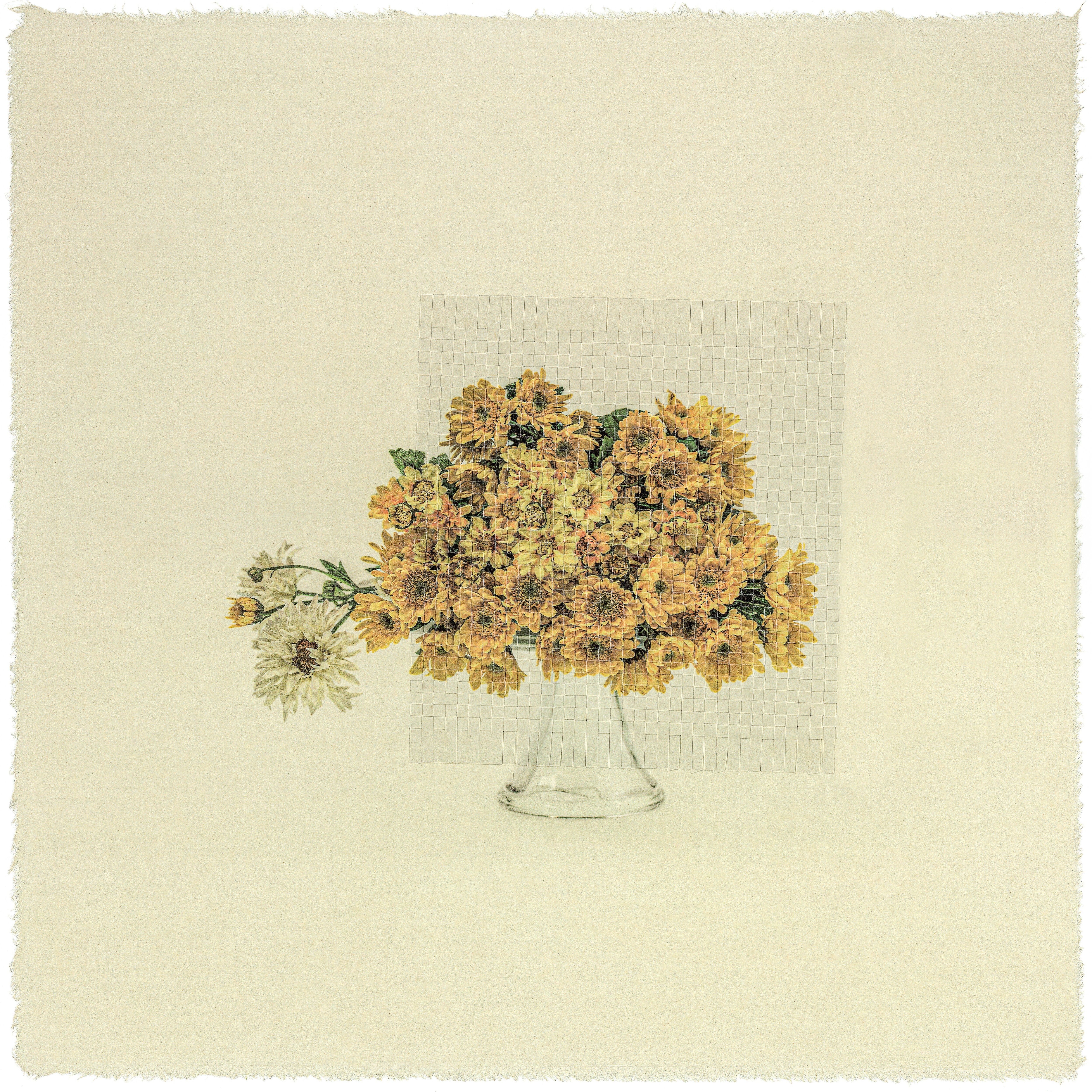 Giljung Yoon, Seesaw rm 16_chrysanthemum Giljung Yoon, Seesaw rm 16_chrysanthemum