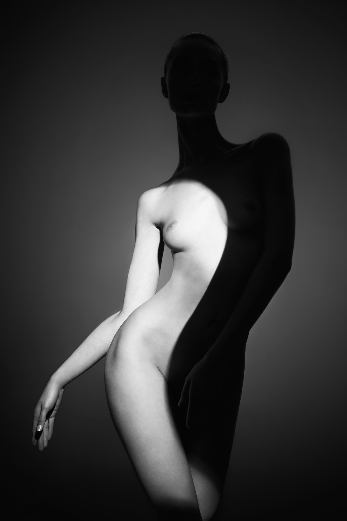 George Mayer, Taijitu, Portrait #1 George Mayer, Taijitu, Portrait #1