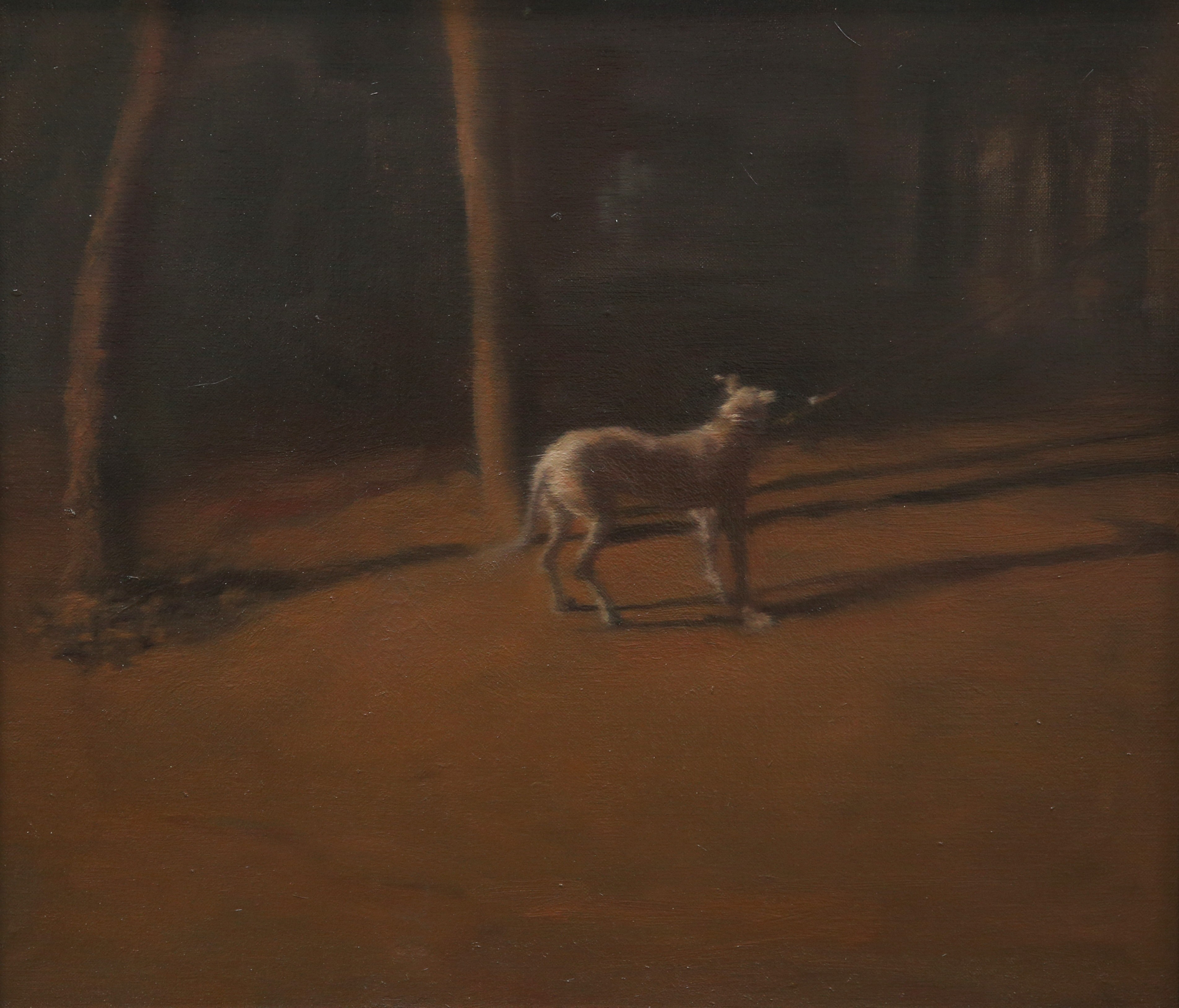 Wang Dianyu, Dog 1 Wang Dianyu, Dog 1