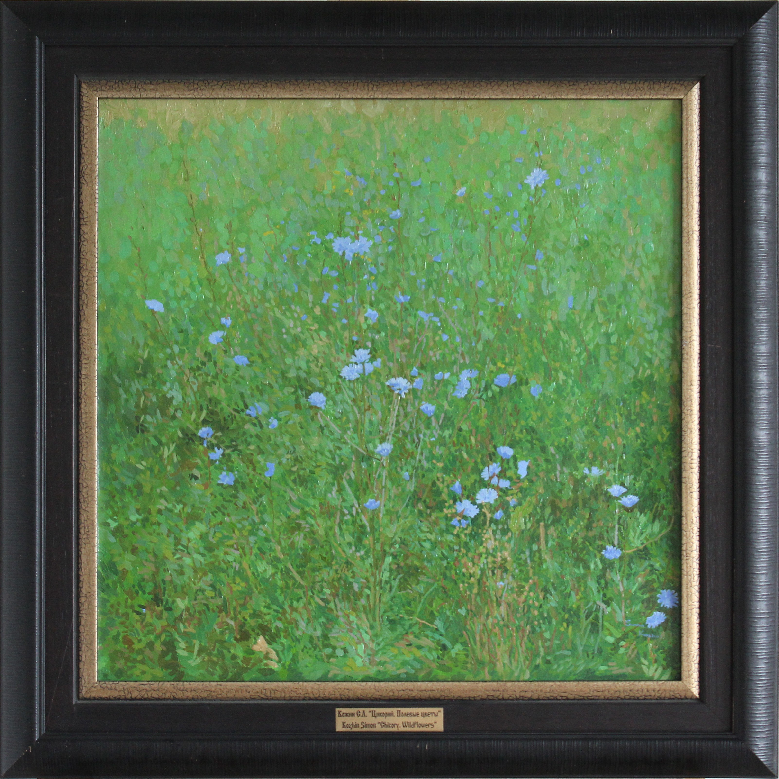 Simon Kozhin, Chicory. Wildflowers Simon Kozhin, Chicory. Wildflowers