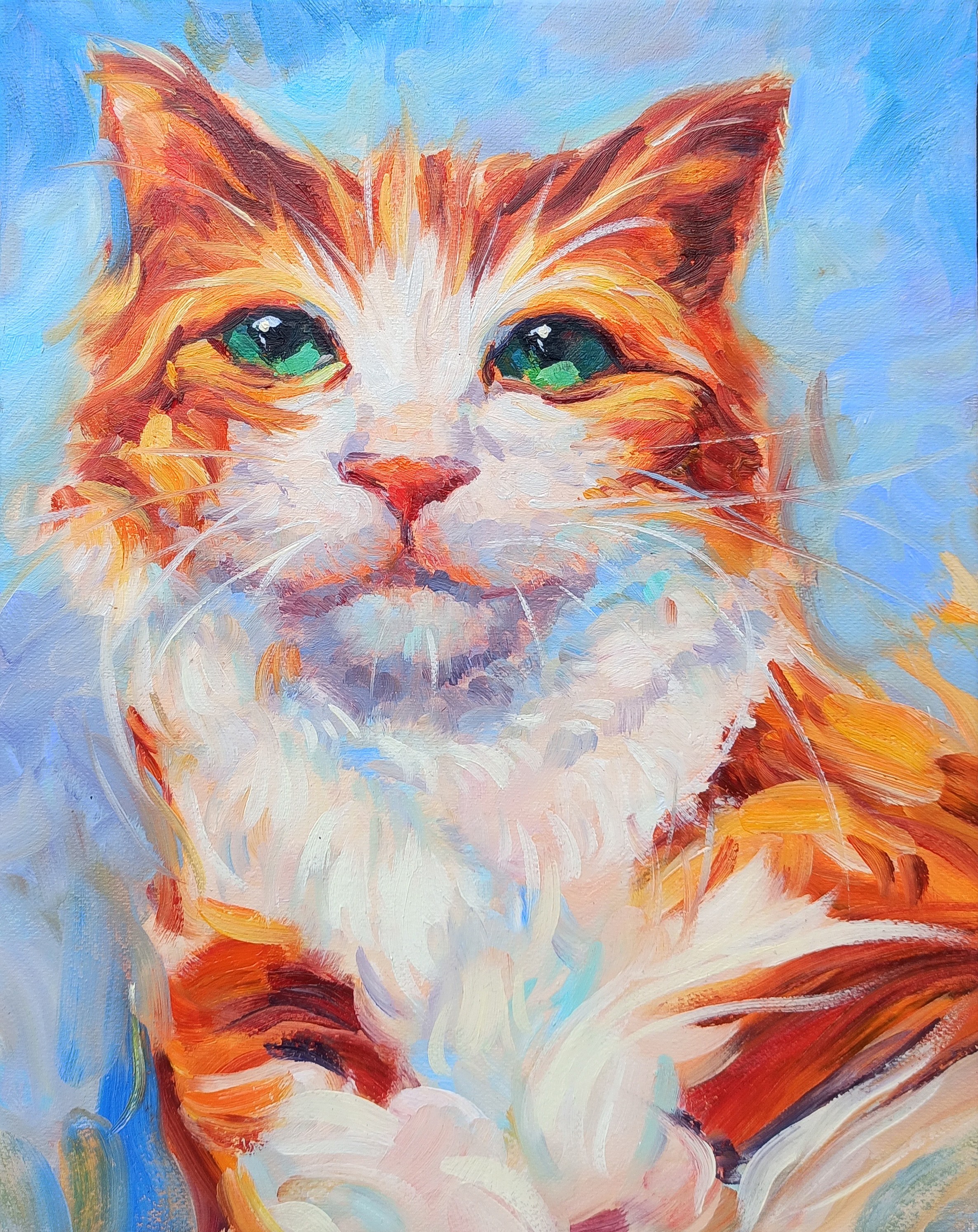 Narek Qochunc, Ginger cat Narek Qochunc, Ginger cat