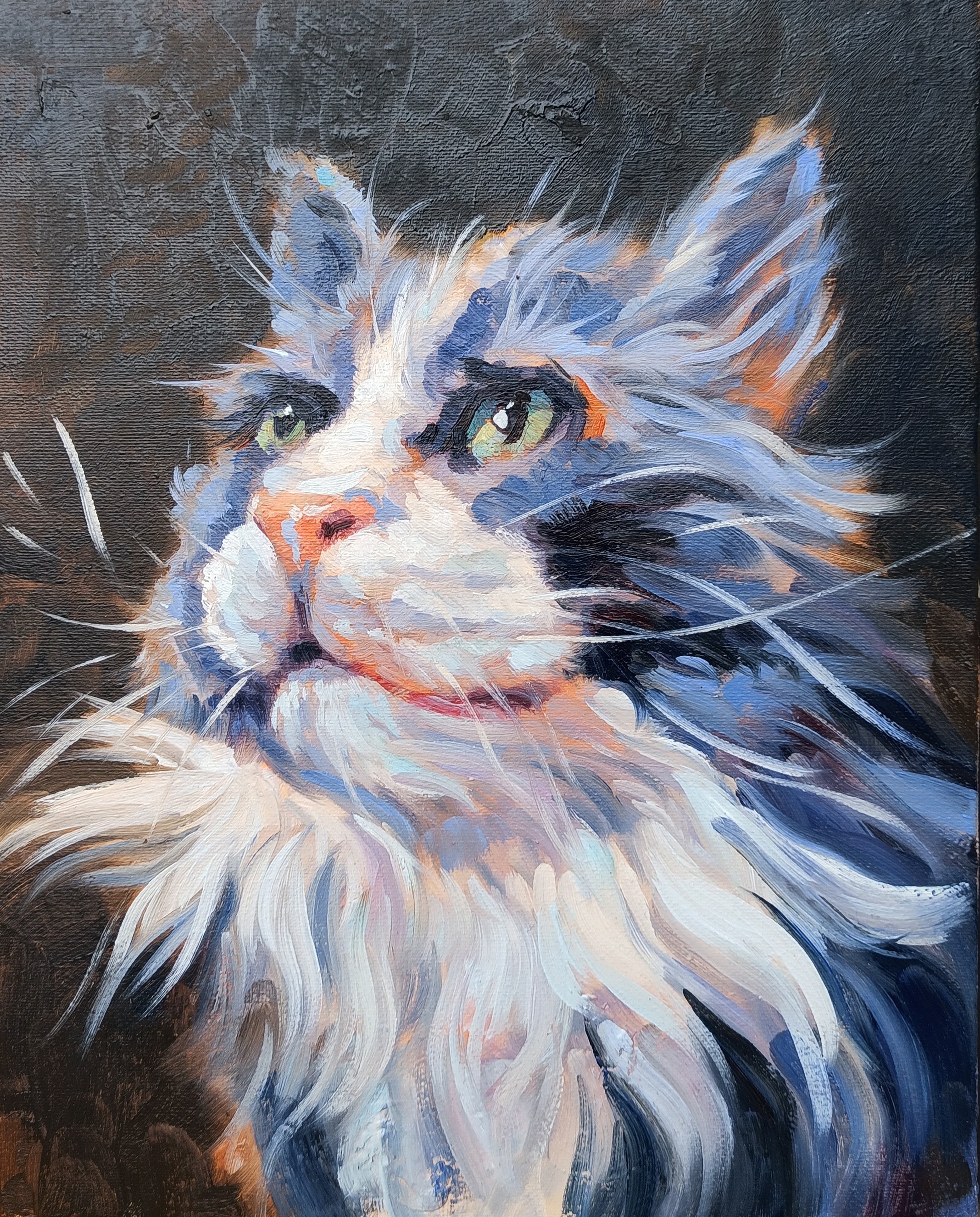 Narek Qochunc, Cat portrait Narek Qochunc, Cat portrait