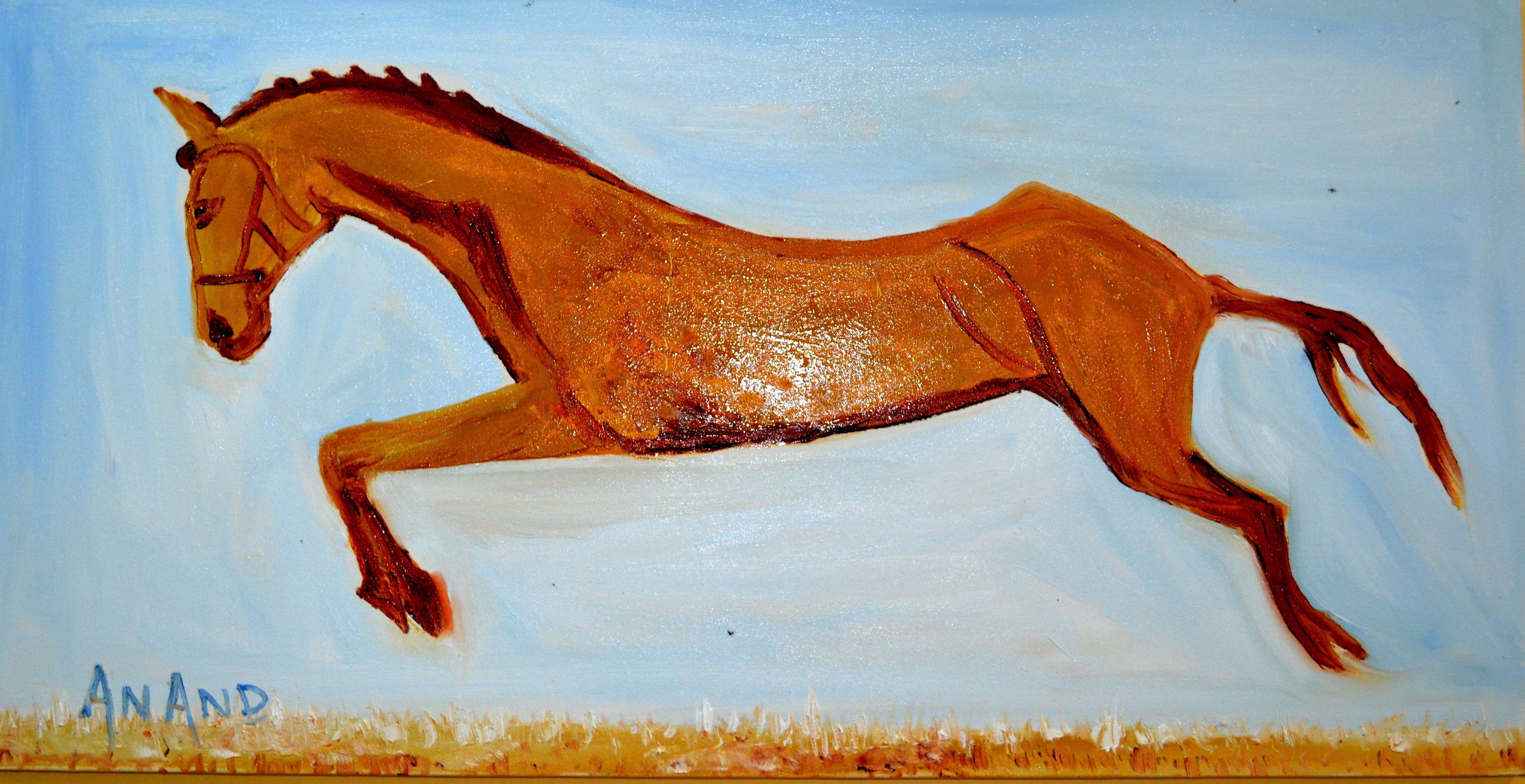 Anand Manchiraju, My favorite horse Anand Manchiraju, My favorite horse