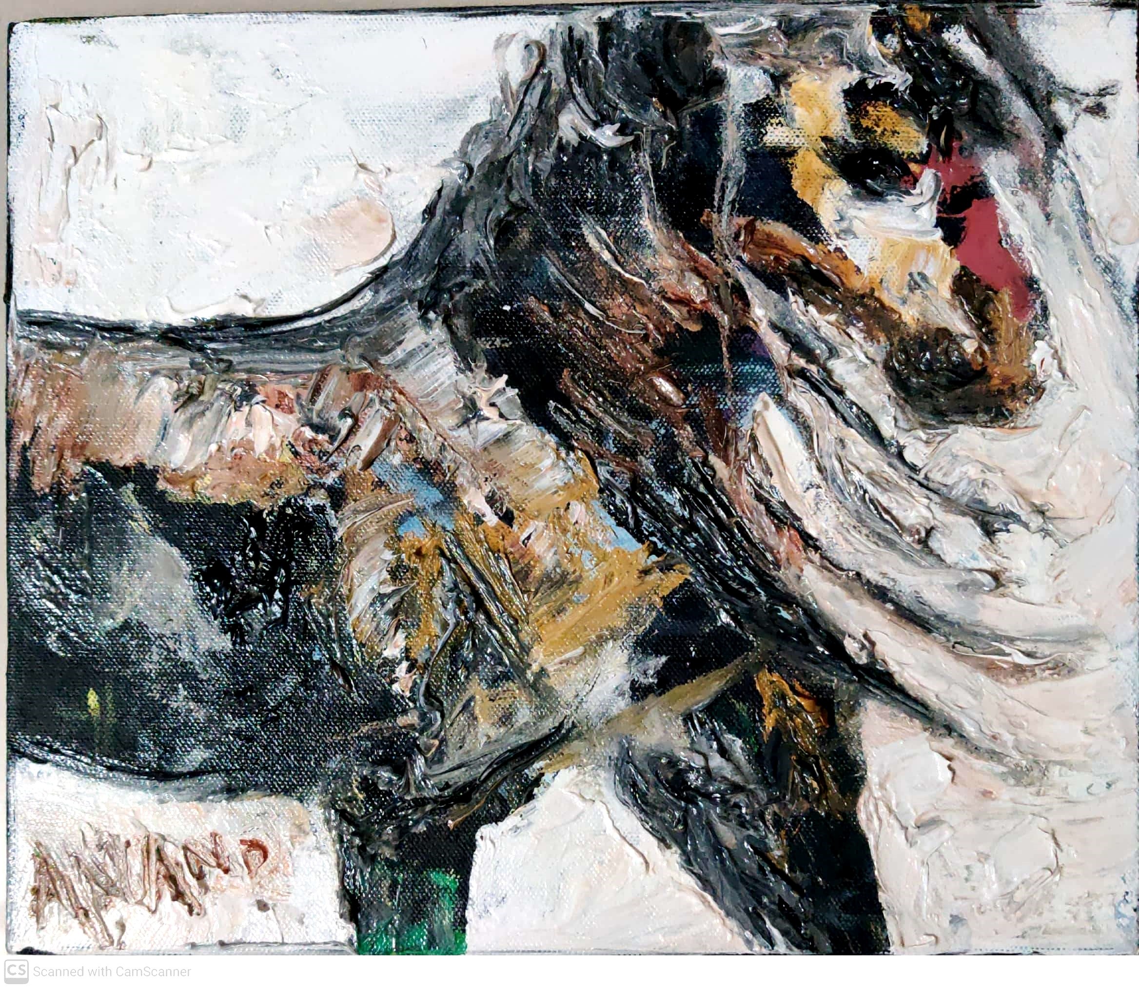 Anand Manchiraju, Horse-3 Anand Manchiraju, Horse-3
