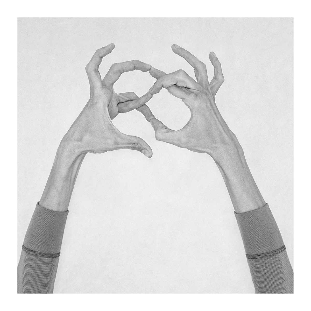 Nico Baixas / Gos-com-fuig, Untitled VII. From the series chiromorphose Nico Baixas / Gos-com-fuig, Untitled VII. From the series chiromorphose