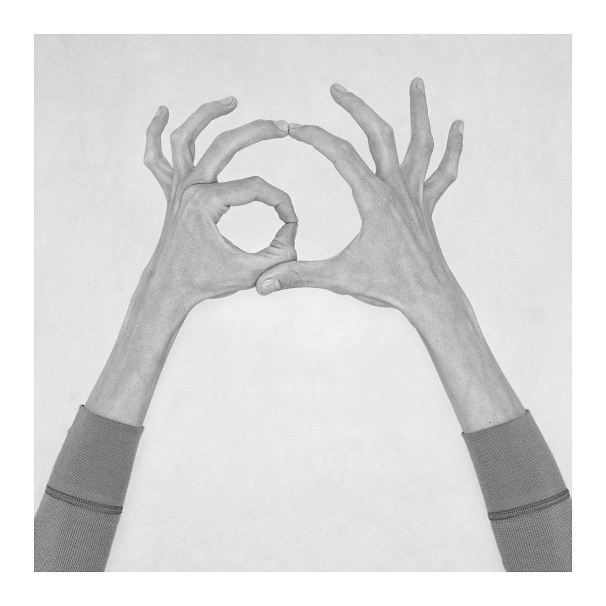 Nico Baixas / Gos-com-fuig, Untitled VIII. From the series chiromorphose Nico Baixas / Gos-com-fuig, Untitled VIII. From the series chiromorphose