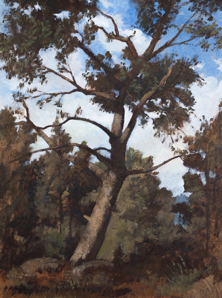 Pierre Sojo, L’arbre Pierre Sojo, L’arbre
