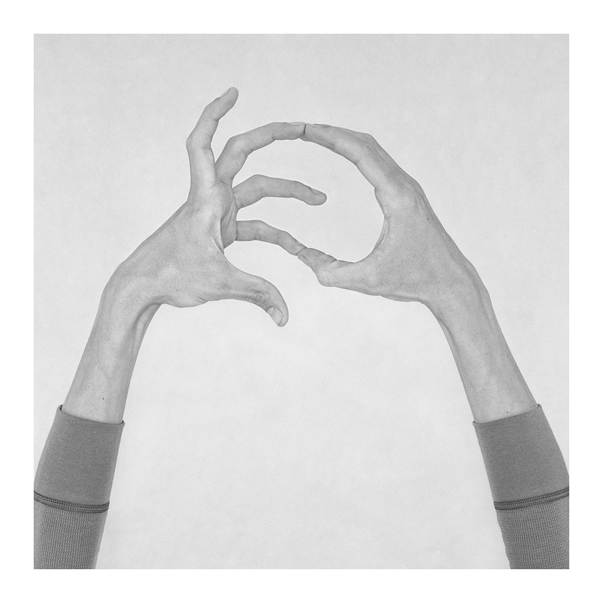 Nico Baixas / Gos-com-fuig, Untitled IX. From the series chiromorphose Nico Baixas / Gos-com-fuig, Untitled IX. From the series chiromorphose