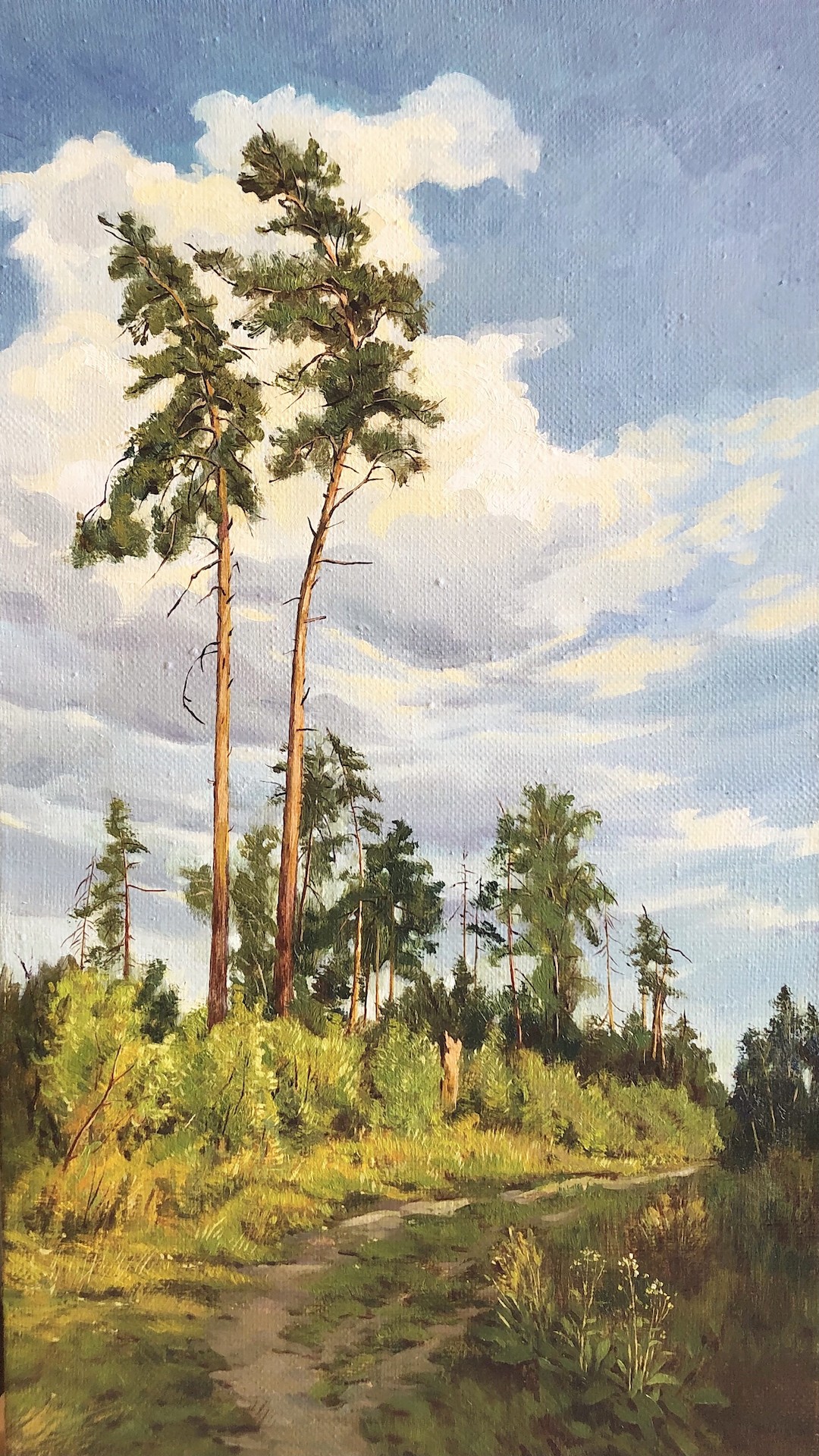 Liu Ziyu, Forest in Sunlight Liu Ziyu, Forest in Sunlight