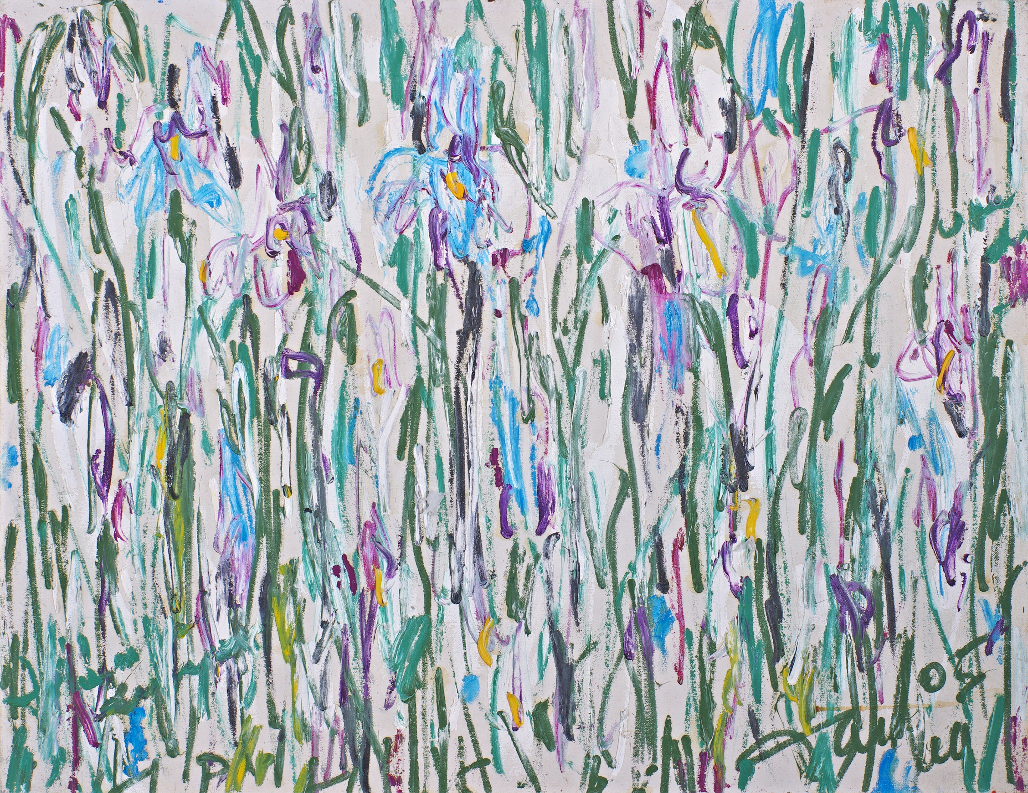 Dima Filatov, Irises Dima Filatov, Irises