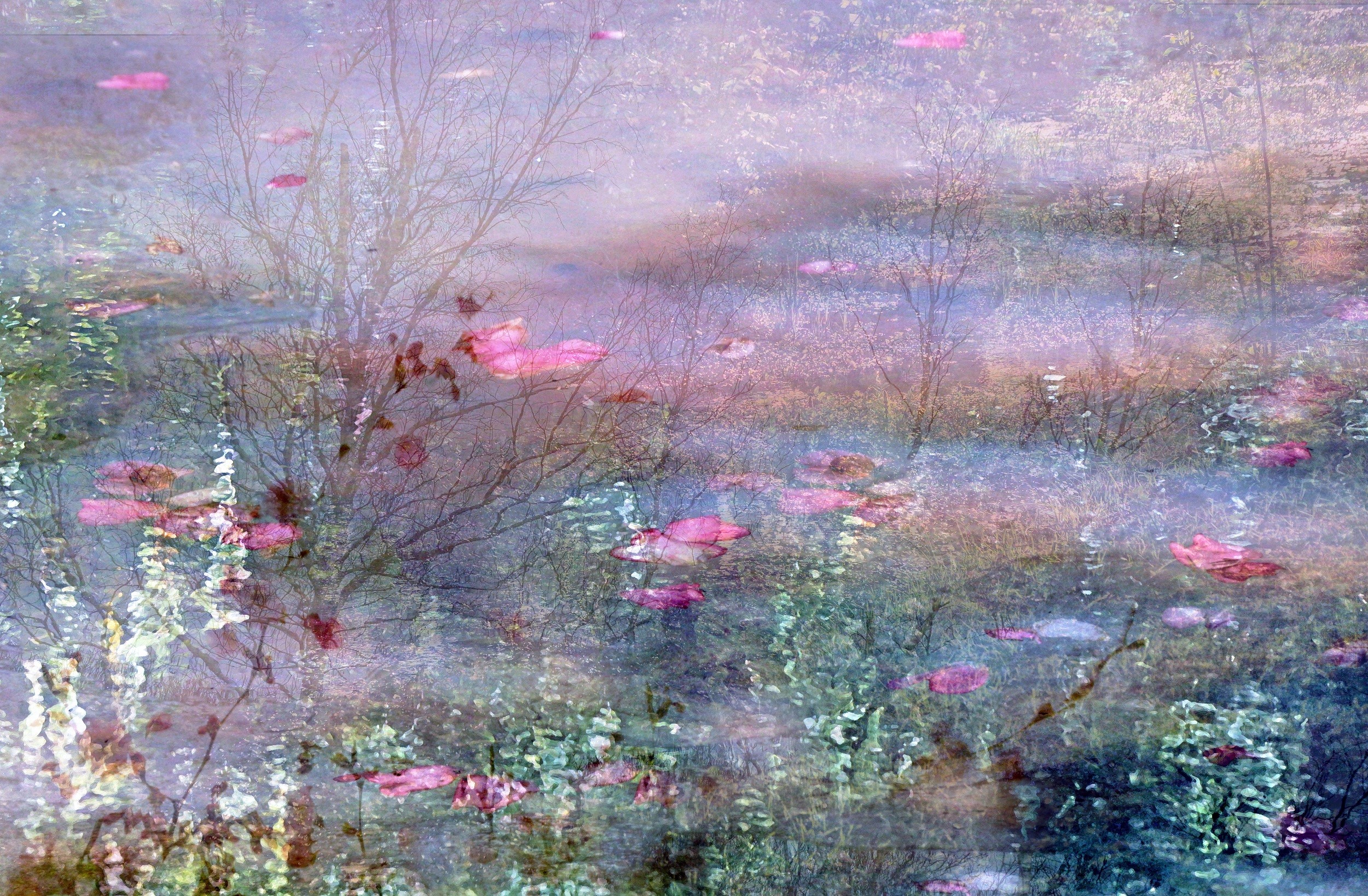 Arelys Photos, Reflet du jardin Arelys Photos, Reflet du jardin