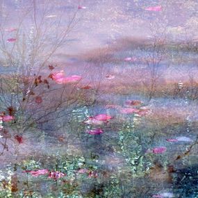 Reflet du jardin, Arelys Photos