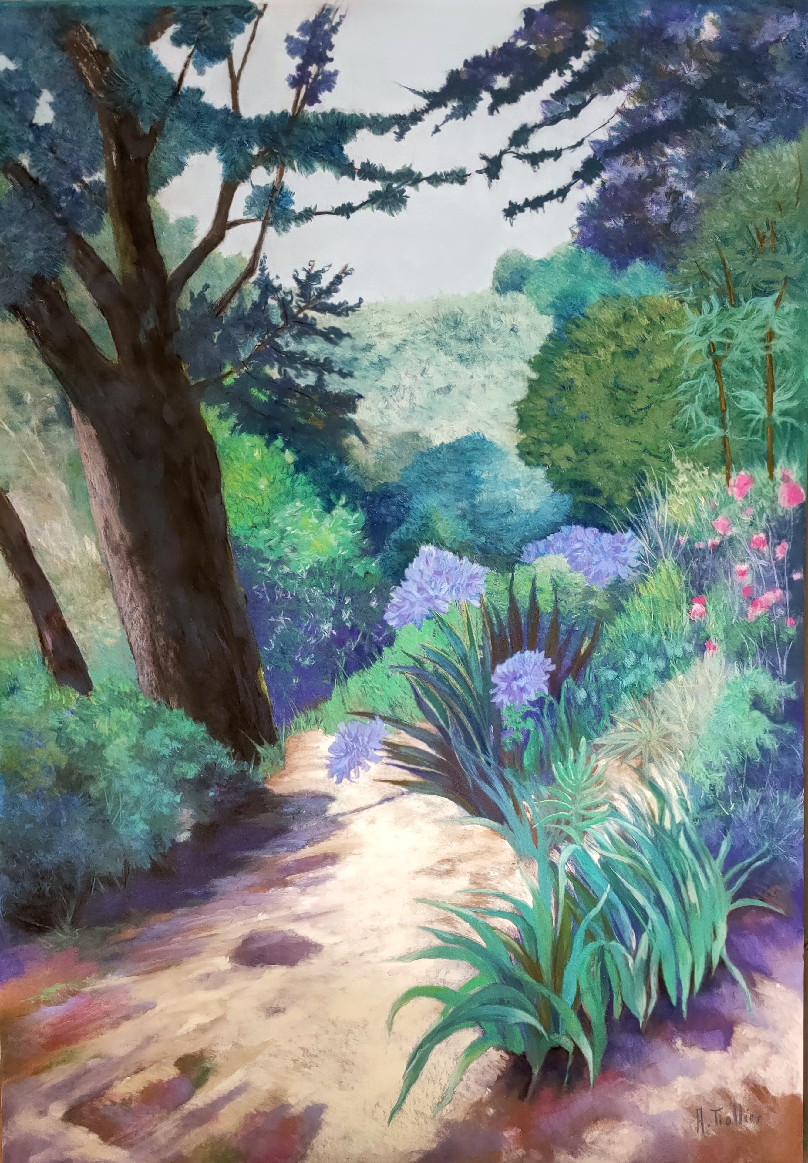 Agnès Tiollier, Le chemin des Agapanthes Agnès Tiollier, Le chemin des Agapanthes