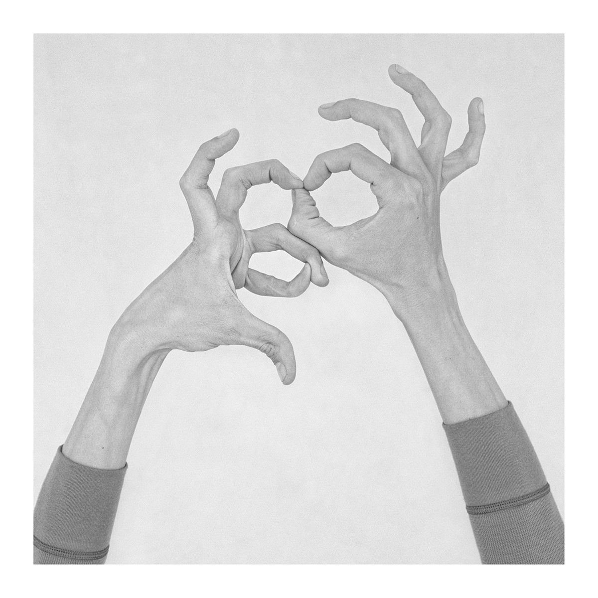 Nico Baixas / Gos-com-fuig, Untitled X. From the series chiromorphose Nico Baixas / Gos-com-fuig, Untitled X. From the series chiromorphose