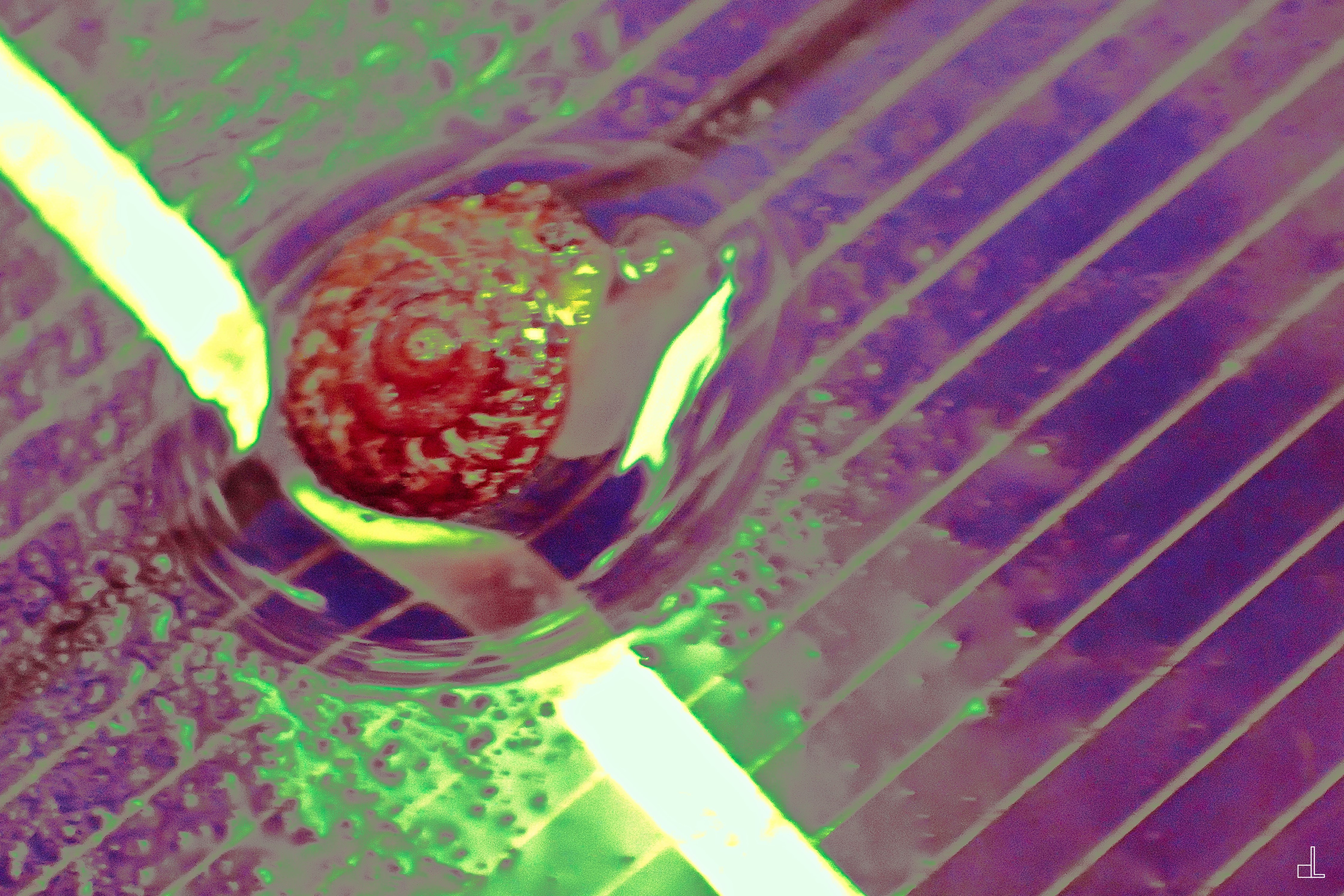 Christian Lefevre, Dans ma bulle... Christian Lefevre, Dans ma bulle...