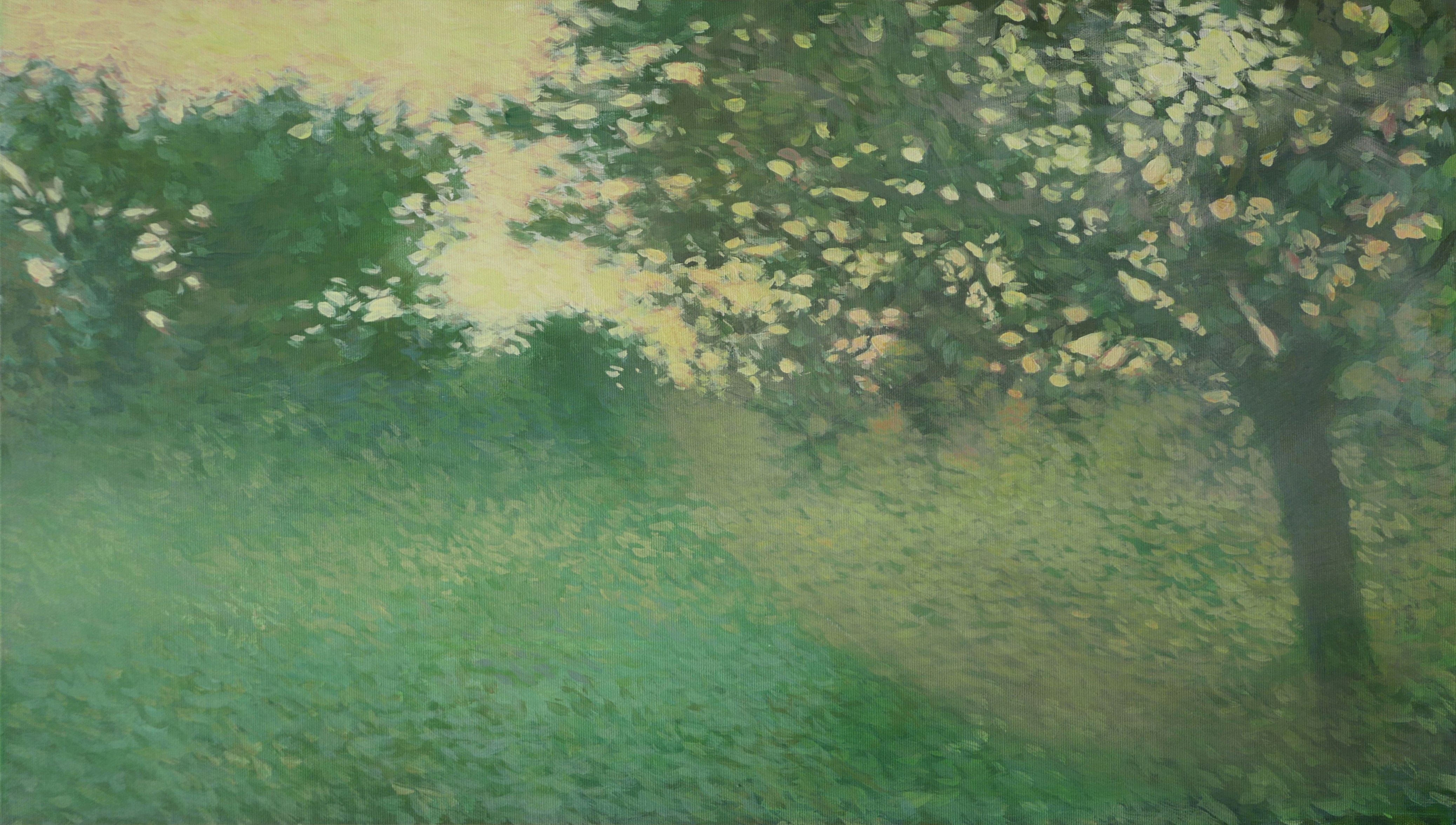 Petya Deneva, The light of the green world Petya Deneva, The light of the green world