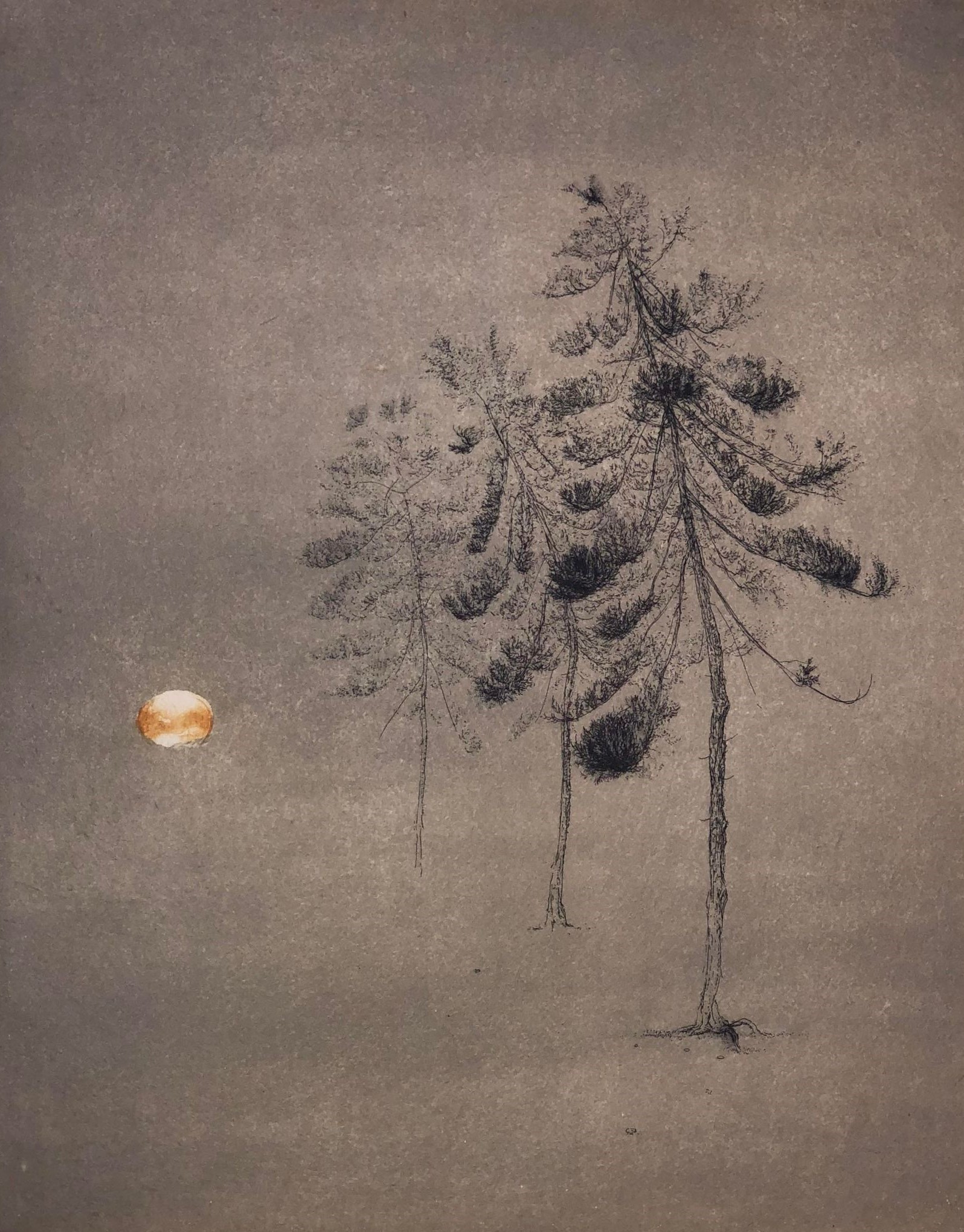Mitsuo Shiraishi, Trois arbres, gravure originale Mitsuo Shiraishi, Trois arbres, gravure originale