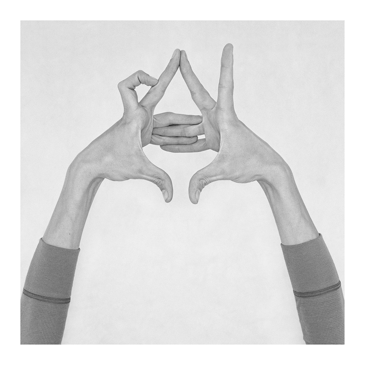 Nico Baixas / Gos-com-fuig, Untitled XII. From the series chiromorphose Nico Baixas / Gos-com-fuig, Untitled XII. From the series chiromorphose