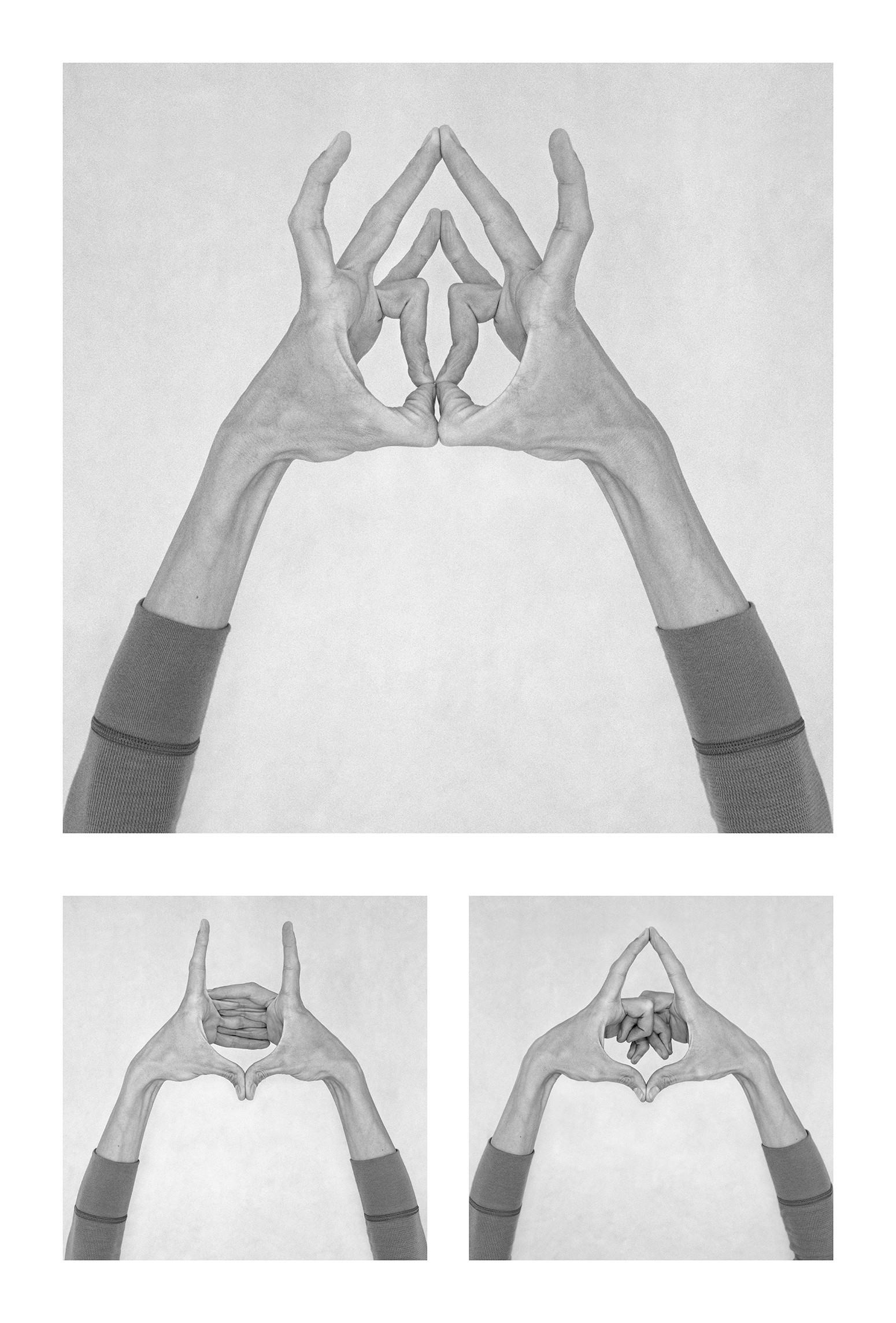 Nico Baixas / Gos-com-fuig, Untitled XIII, XIV, and XV. From the series chiromorphose Nico Baixas / Gos-com-fuig, Untitled XIII, XIV, and XV. From the series chiromorphose