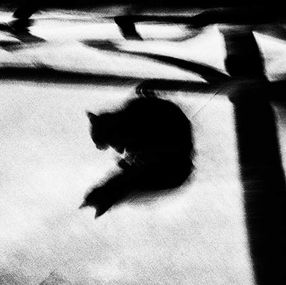 Fotografía, Darkness (série), Sophie Patry
