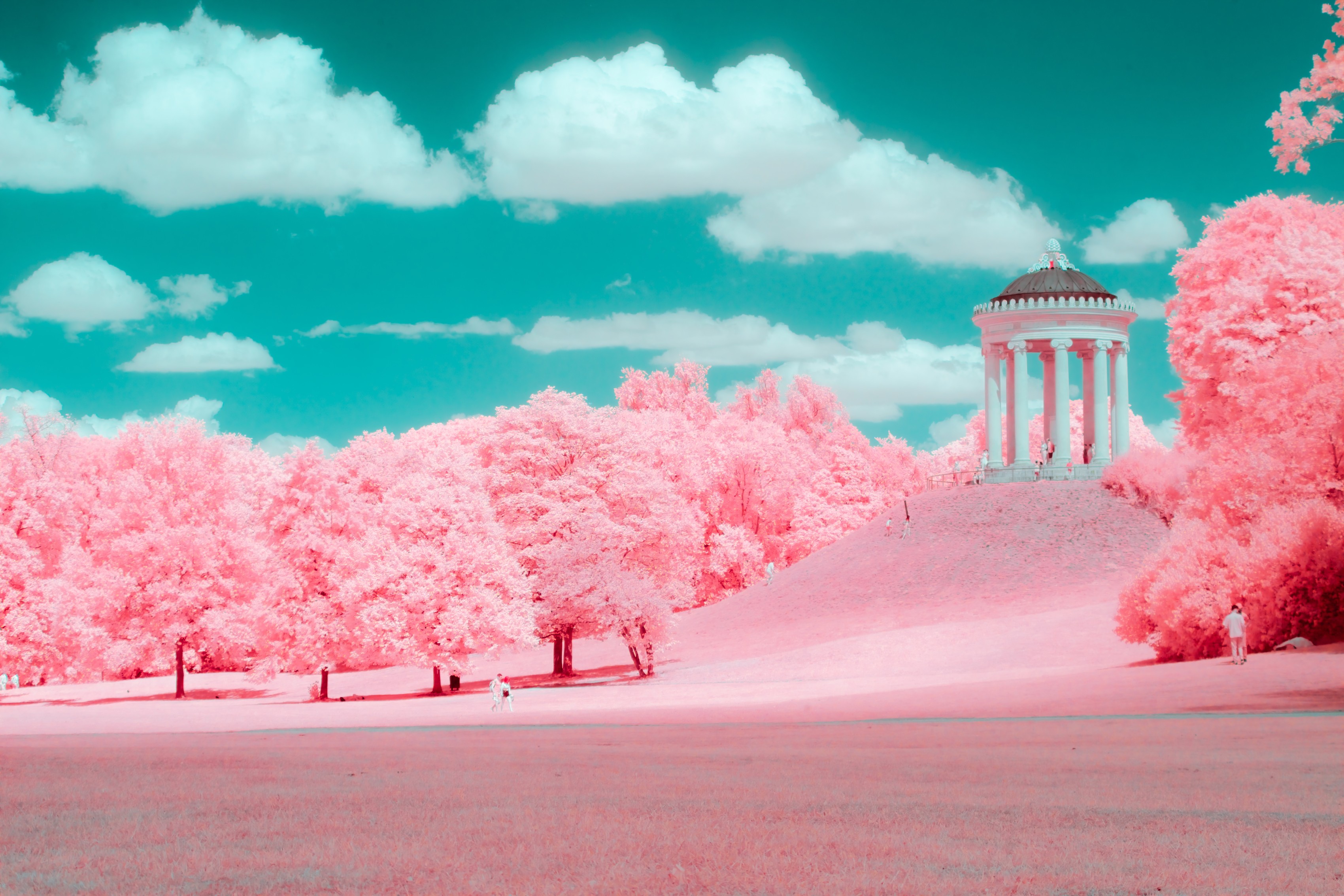 Paolo Salmaso, #IR_4127 Paolo Salmaso, #IR_4127