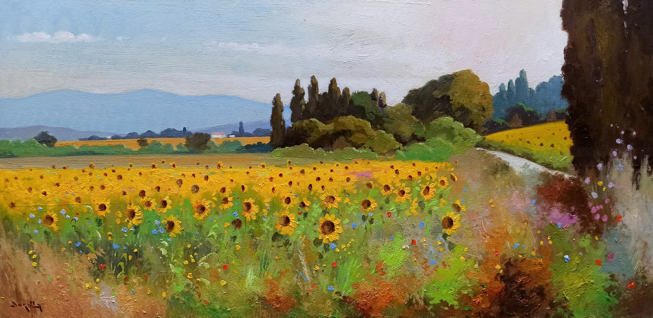 Andrea Borella, Sunflowers field panorama - Tuscany painting landscape Andrea Borella, Sunflowers field panorama - Tuscany painting landscape