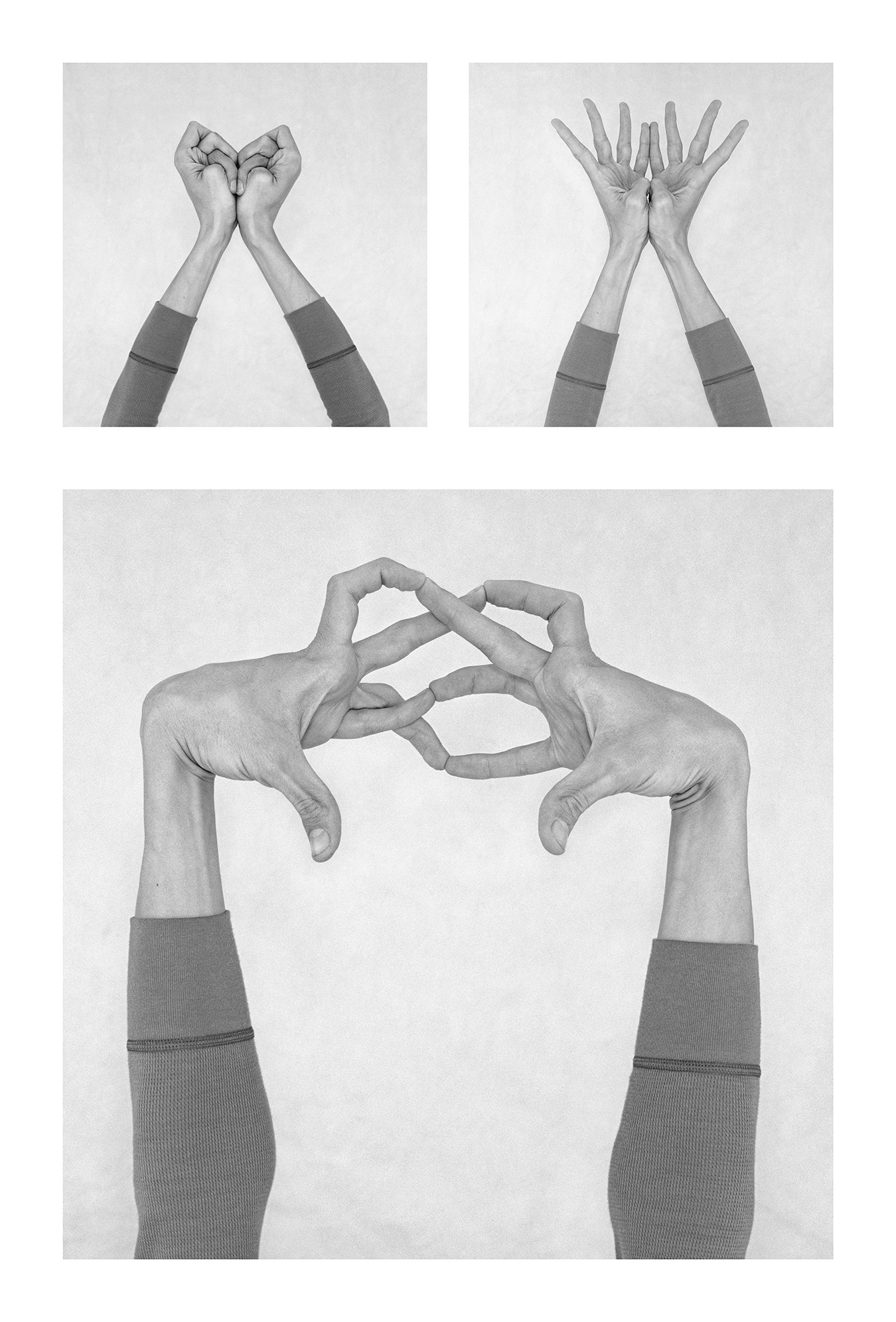 Nico Baixas / Gos-com-fuig, Untitled XVI, XVII, and XVIII. From the series chiromorphose Nico Baixas / Gos-com-fuig, Untitled XVI, XVII, and XVIII. From the series chiromorphose