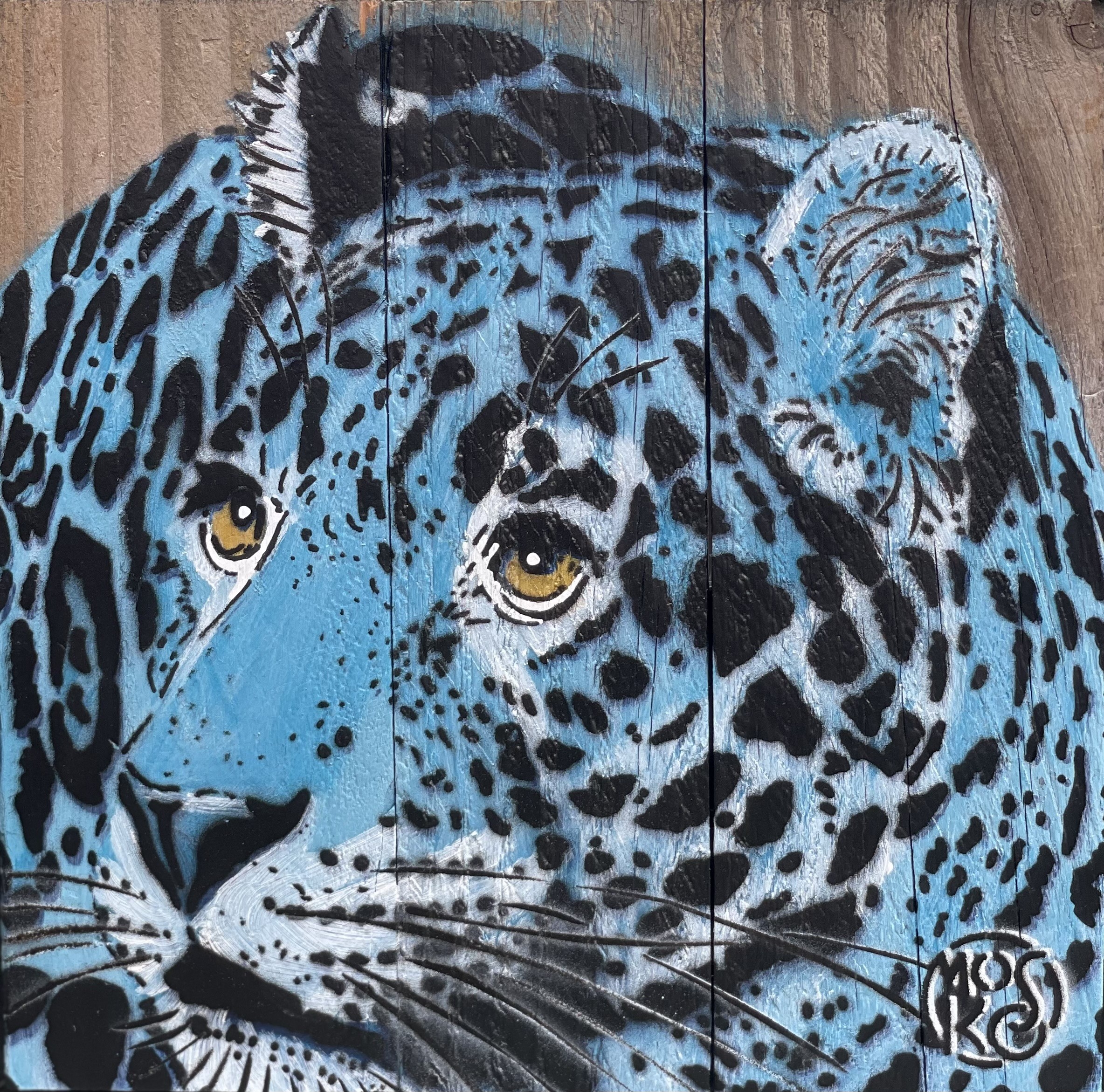 Mosko, Blue panther Mosko, Blue panther
