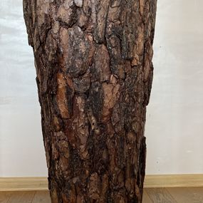 Woodland fairy tale (N1), Diana Malivani