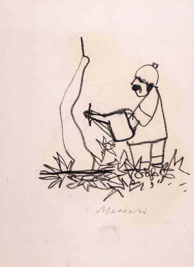 Mino Maccari, Gardener Mino Maccari, Gardener