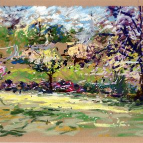 Fine Art Drawings, Jardin botanique d'Apremont sur Allier - France, Thierry Machuron