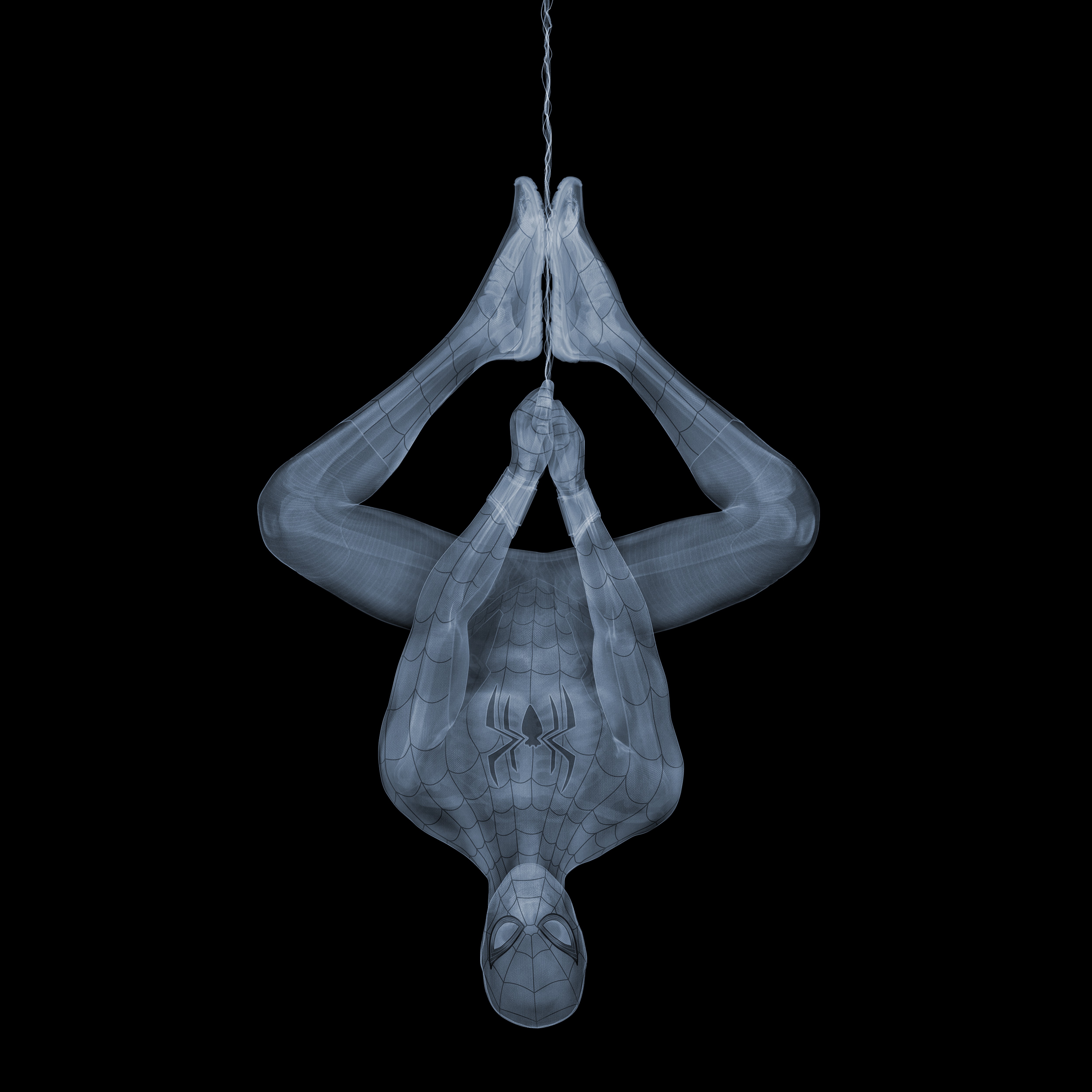Nick Veasey, Spiderman Nick Veasey, Spiderman