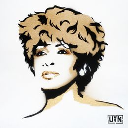 Painting, Tina Turner in gold, UTN