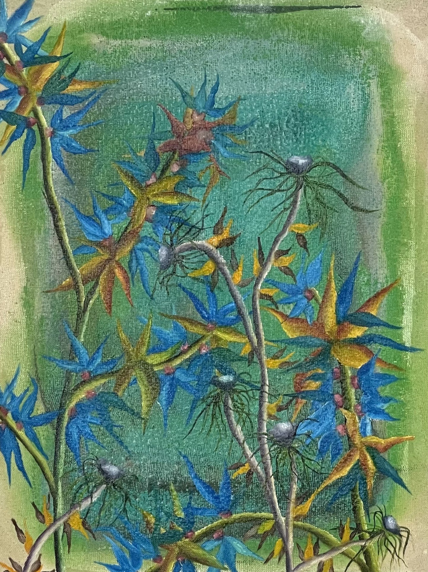 Samuel Lalier, Lianes Samuel Lalier, Lianes