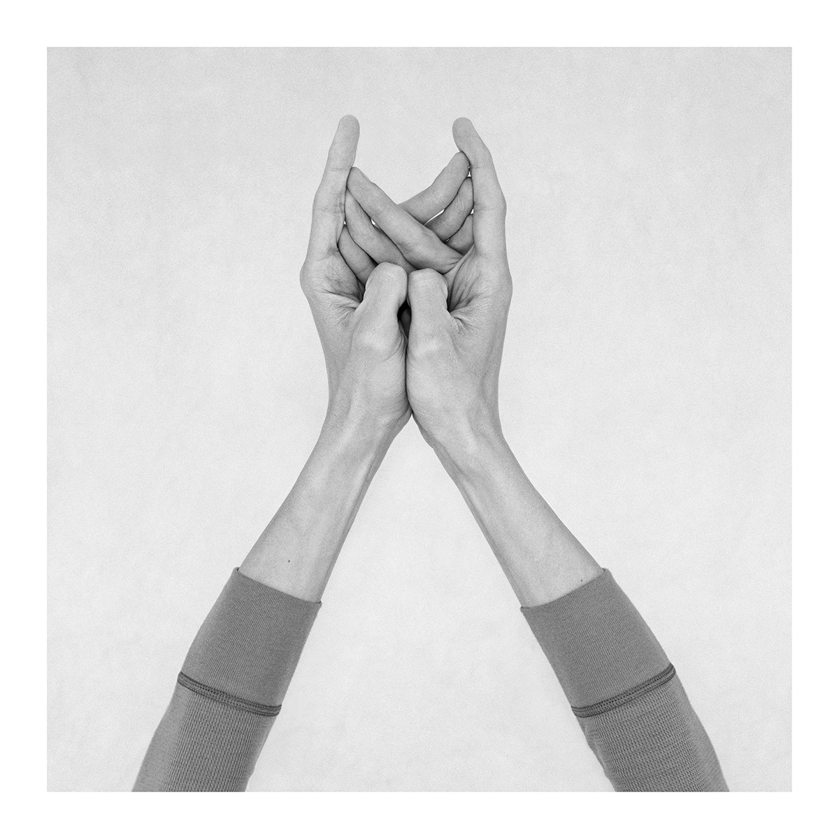 Nico Baixas / Gos-com-fuig, Untitled XXII. From the series chiromorph Nico Baixas / Gos-com-fuig, Untitled XXII. From the series chiromorph