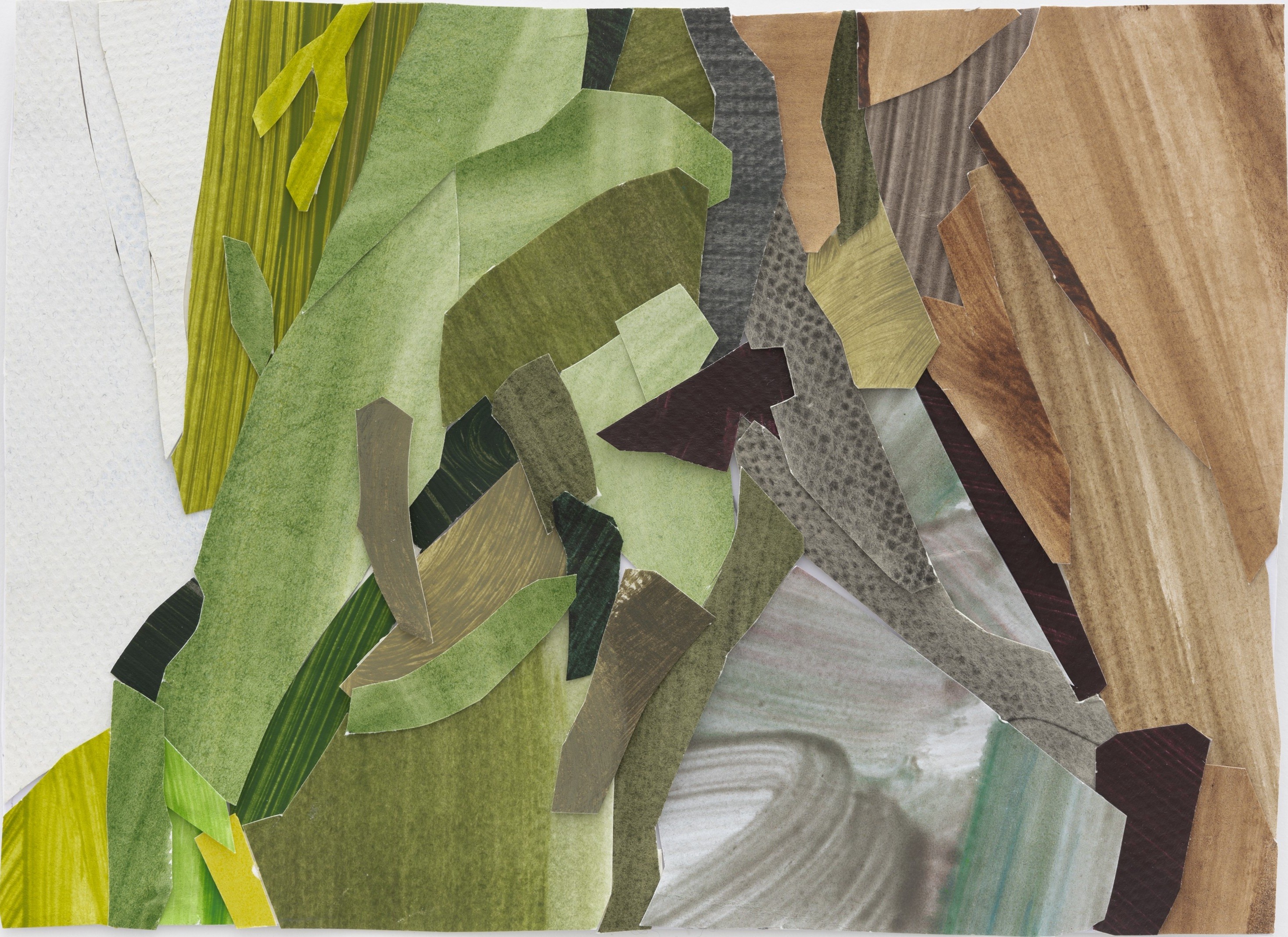 Dorine van der Ploeg, Willow tree Dorine van der Ploeg, Willow tree