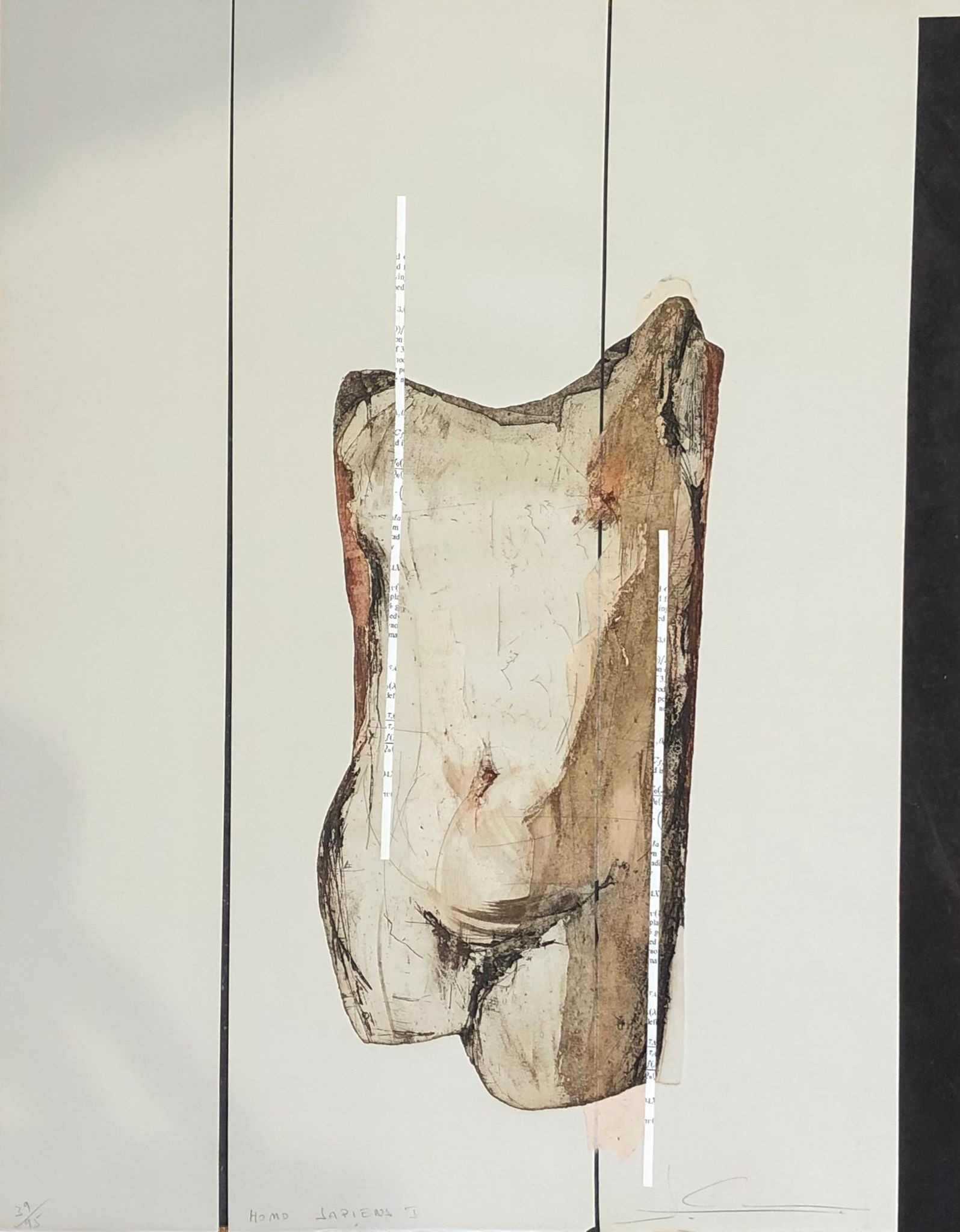 Sylviane Canini, Homo Sapiens Sylviane Canini, Homo Sapiens