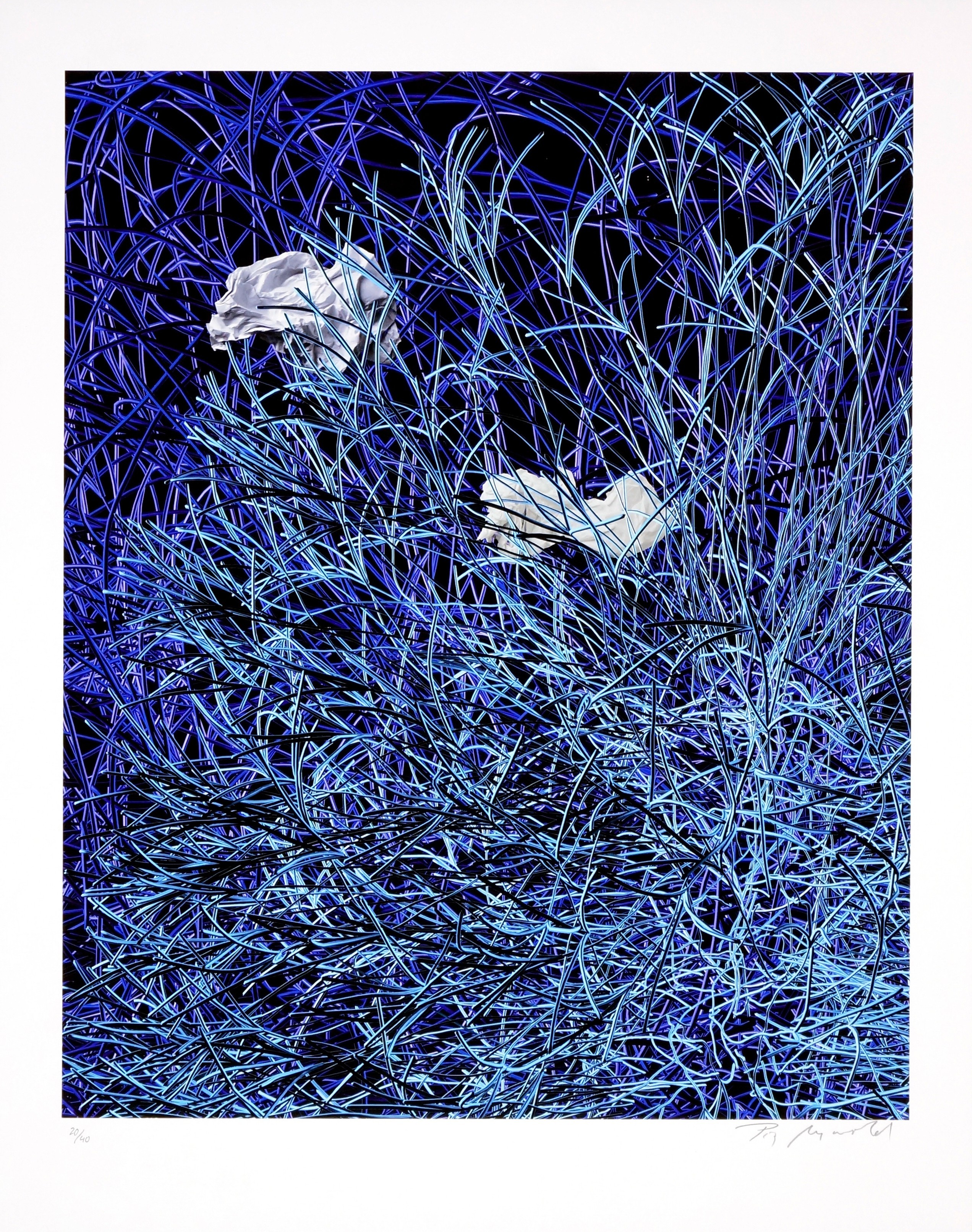 Pia Myrvold, Paper in blue wires Pia Myrvold, Paper in blue wires