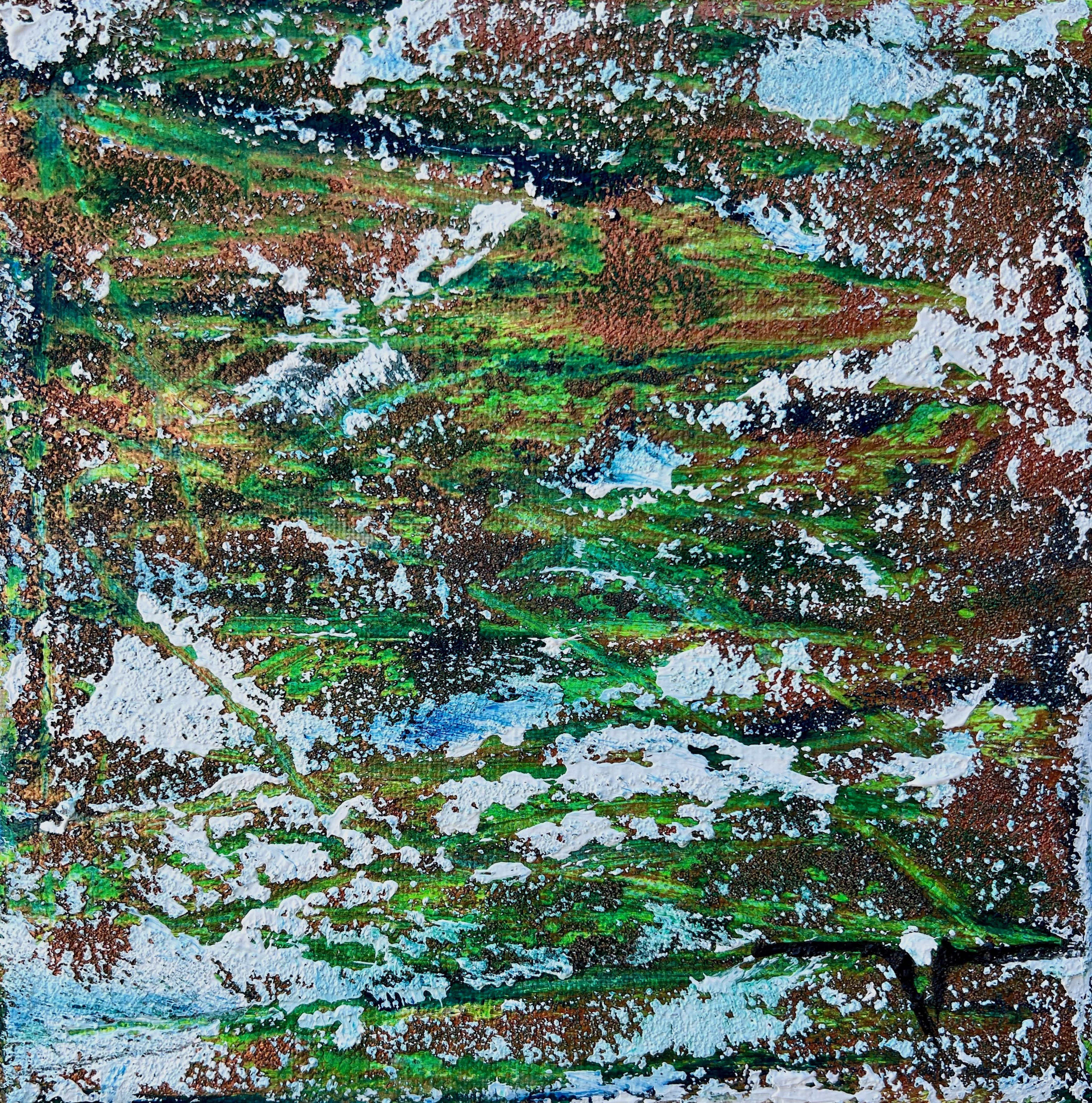 Marie-Anne Decamp, Rainforest Marie-Anne Decamp, Rainforest