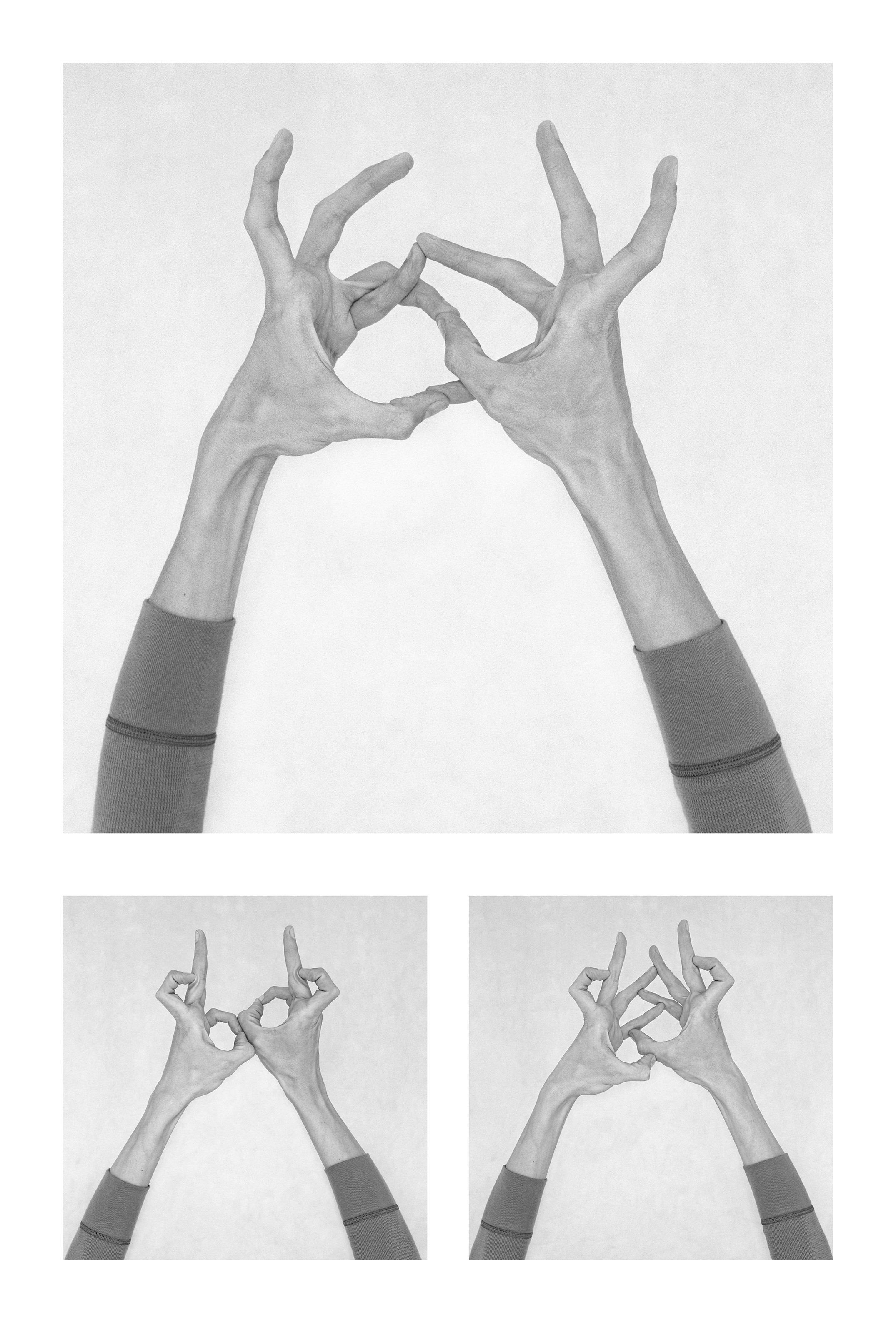 Nico Baixas / Gos-com-fuig, Untitled XXIII, XXIV, and XXV. From the series Chiromorphose Nico Baixas / Gos-com-fuig, Untitled XXIII, XXIV, and XXV. From the series Chiromorphose
