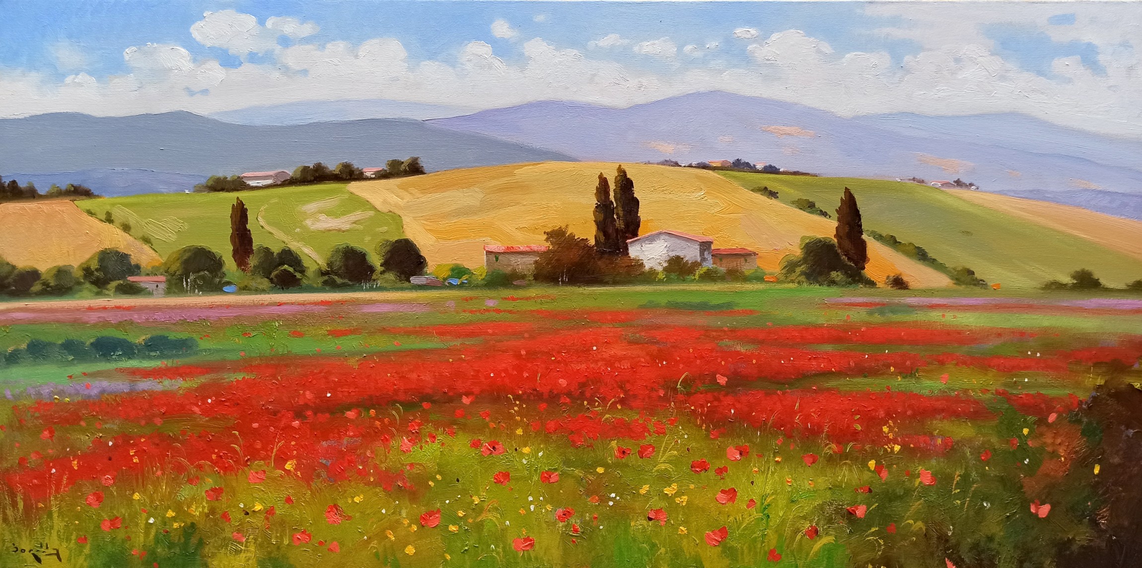 Andrea Borella, Countryside with poppies - Tuscany painting landscape Andrea Borella, Countryside with poppies - Tuscany painting landscape