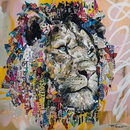 Colorado - The lion king, Vincent Richeux