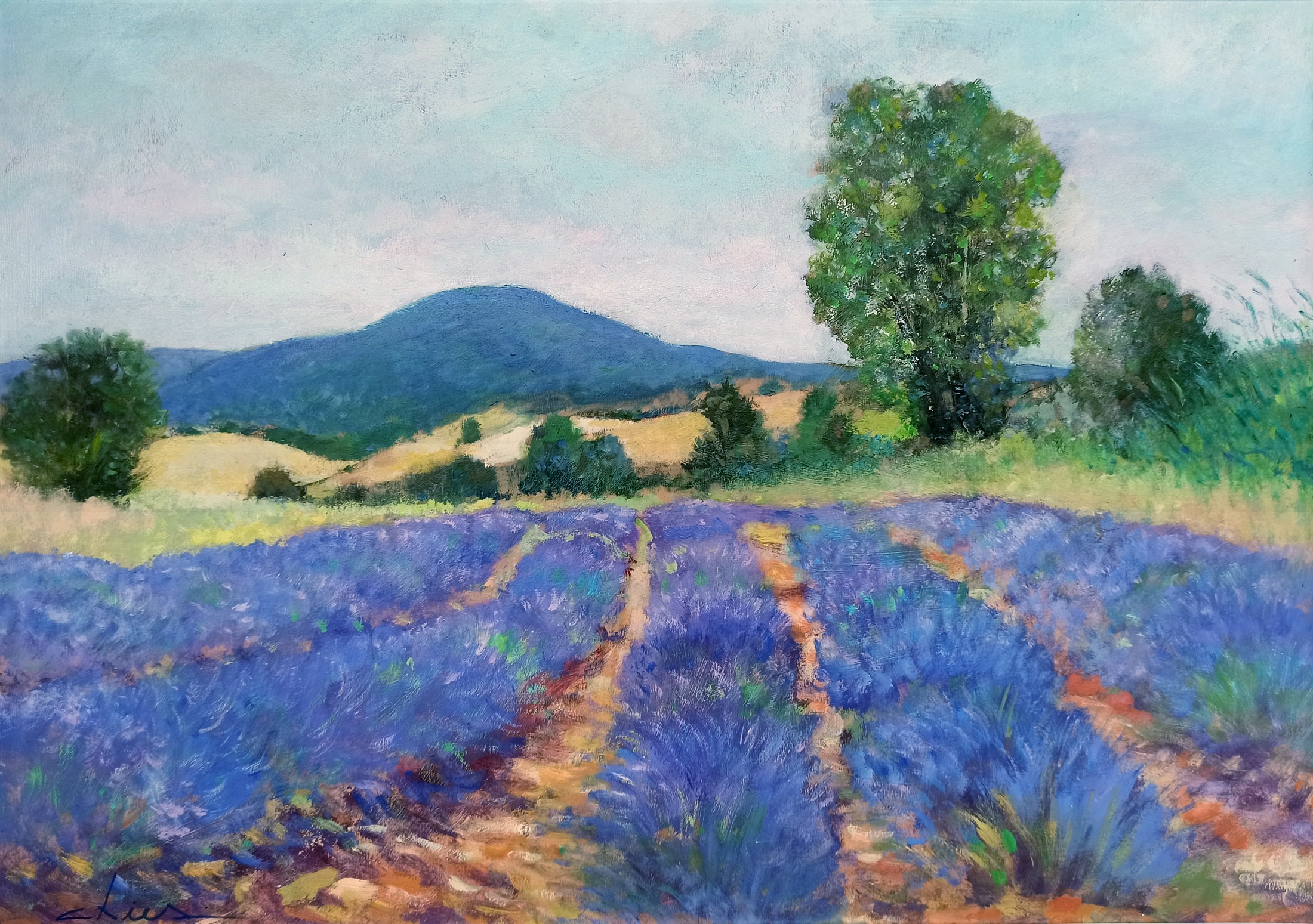 Biagio Chiesi, Lavender field - Tuscany painting landscape Biagio Chiesi, Lavender field - Tuscany painting landscape
